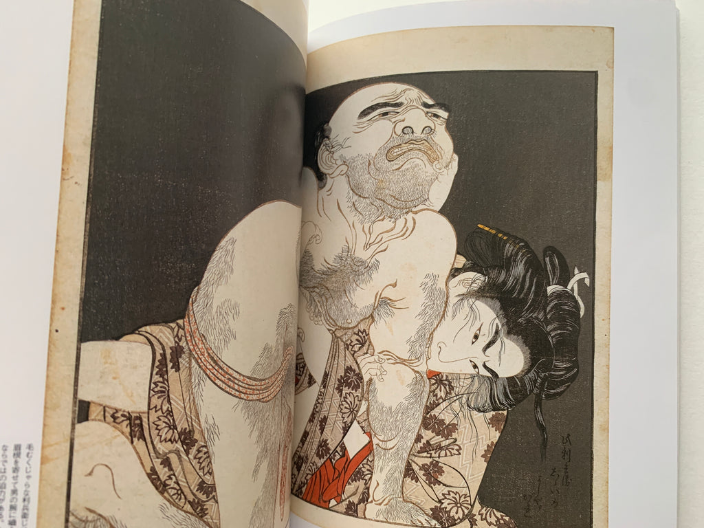 mini SHUNGA & mini SHUNGA II