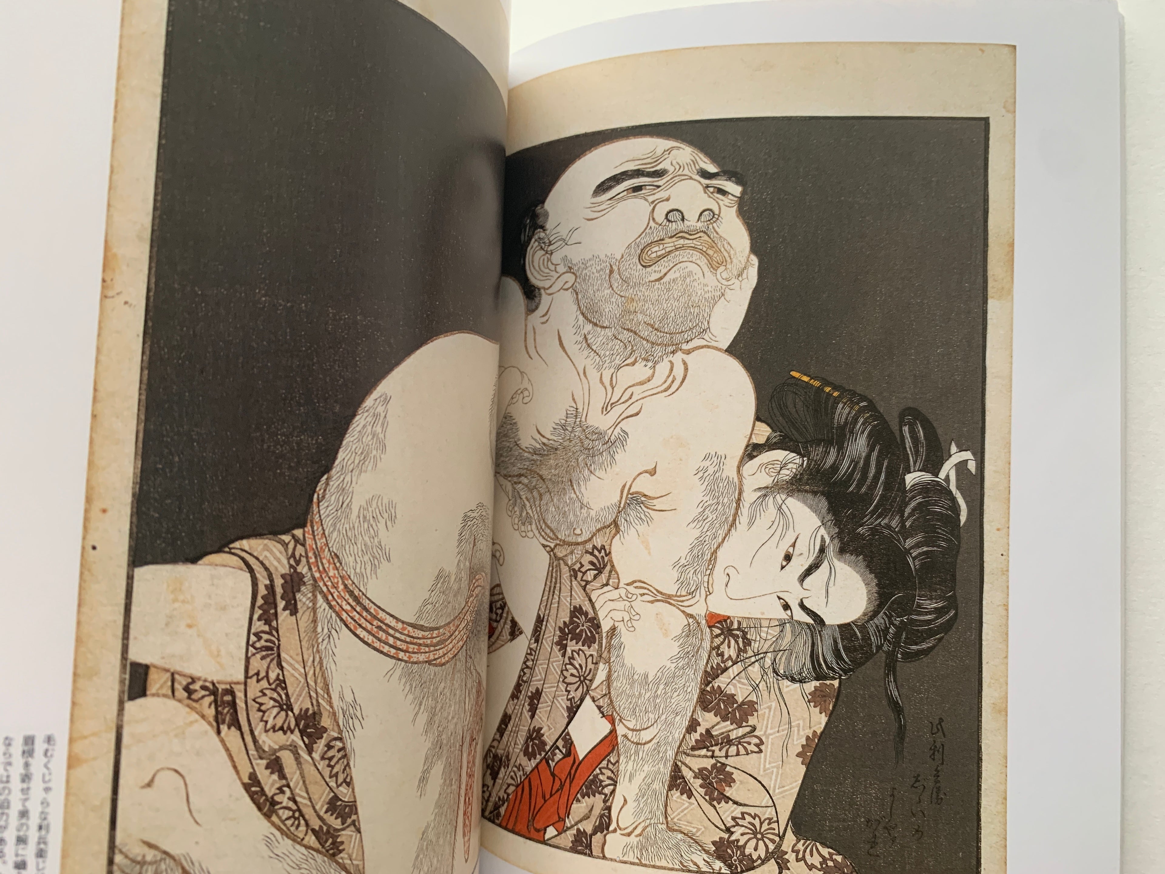 mini SHUNGA & mini SHUNGA II