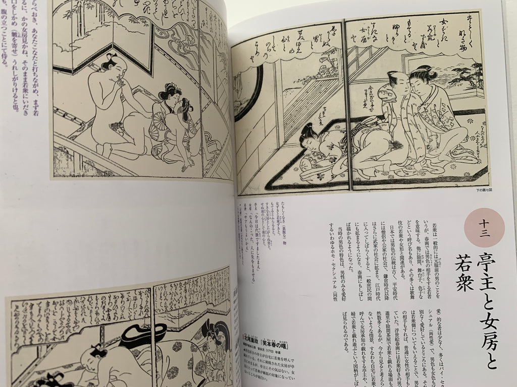 mini SHUNGA & mini SHUNGA II