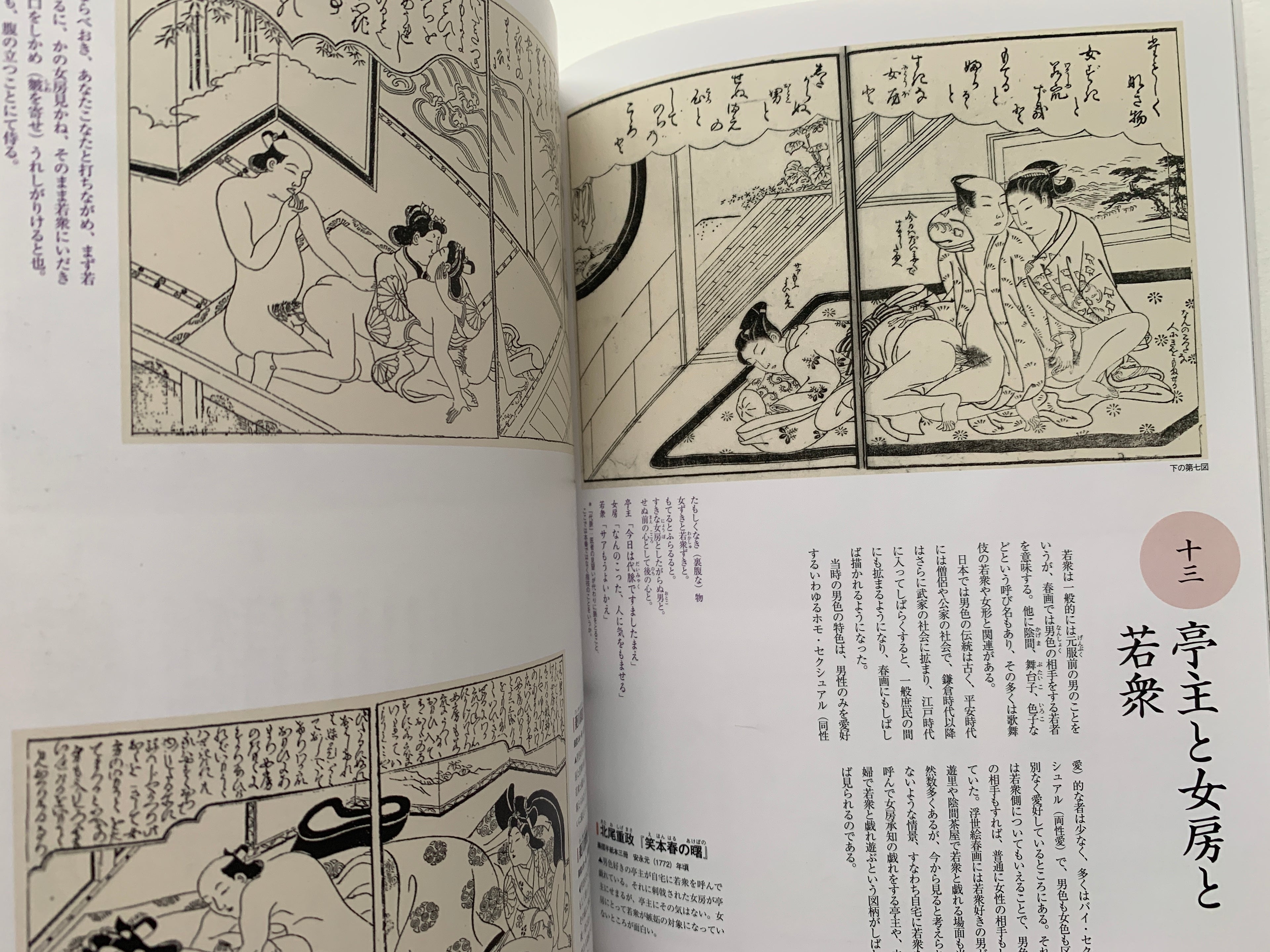 mini SHUNGA & mini SHUNGA II