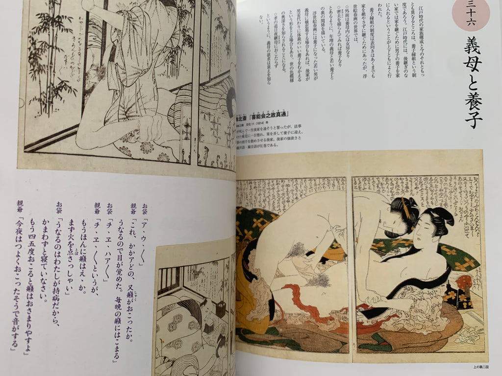 mini SHUNGA & mini SHUNGA II