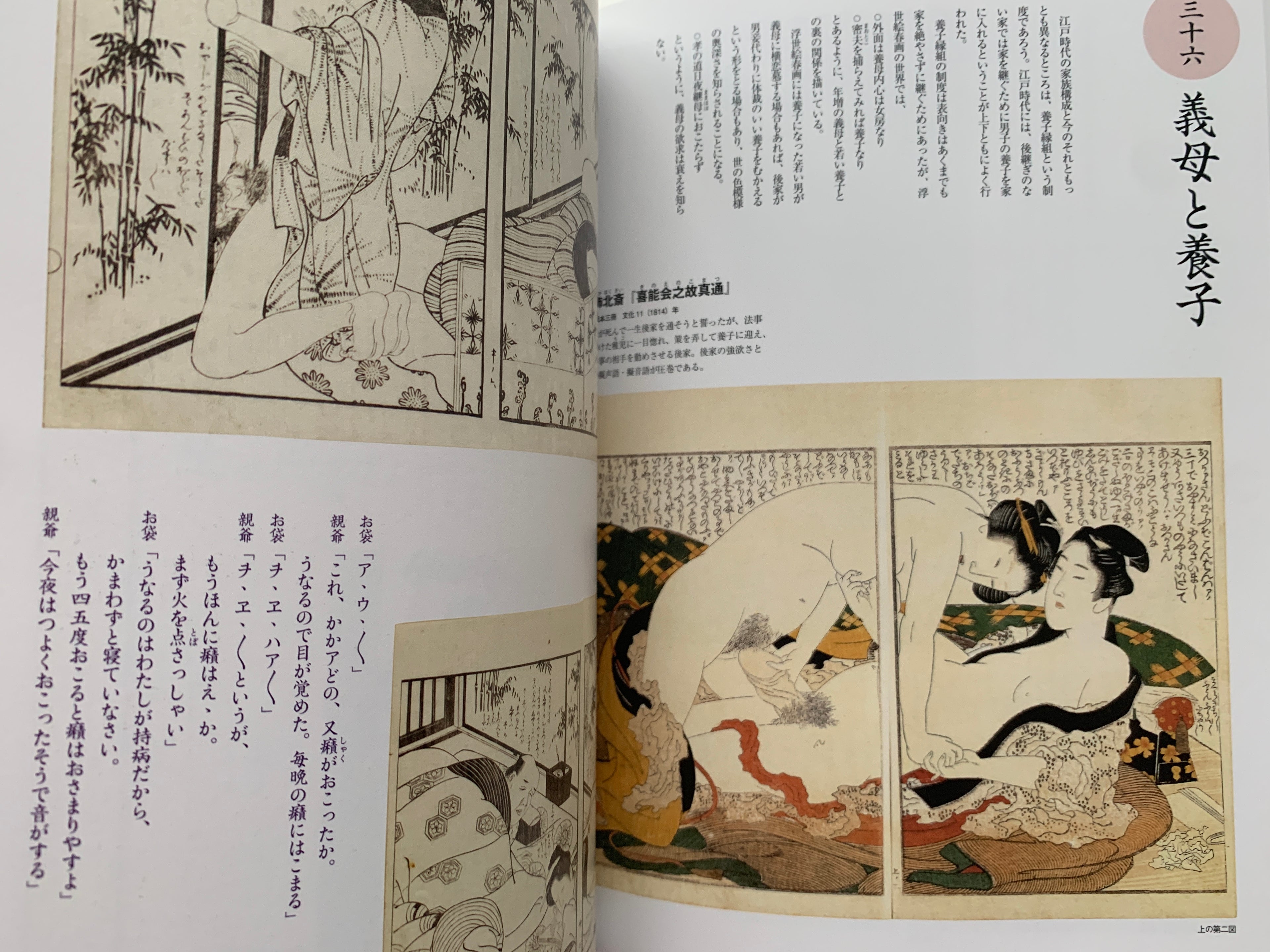 mini SHUNGA & mini SHUNGA II