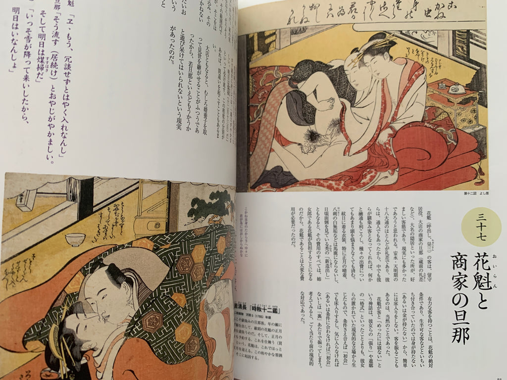 mini SHUNGA & mini SHUNGA II