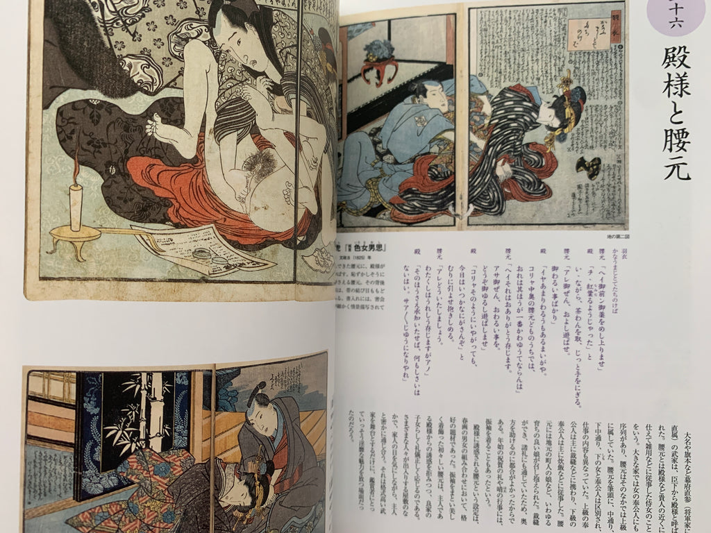 mini SHUNGA & mini SHUNGA II