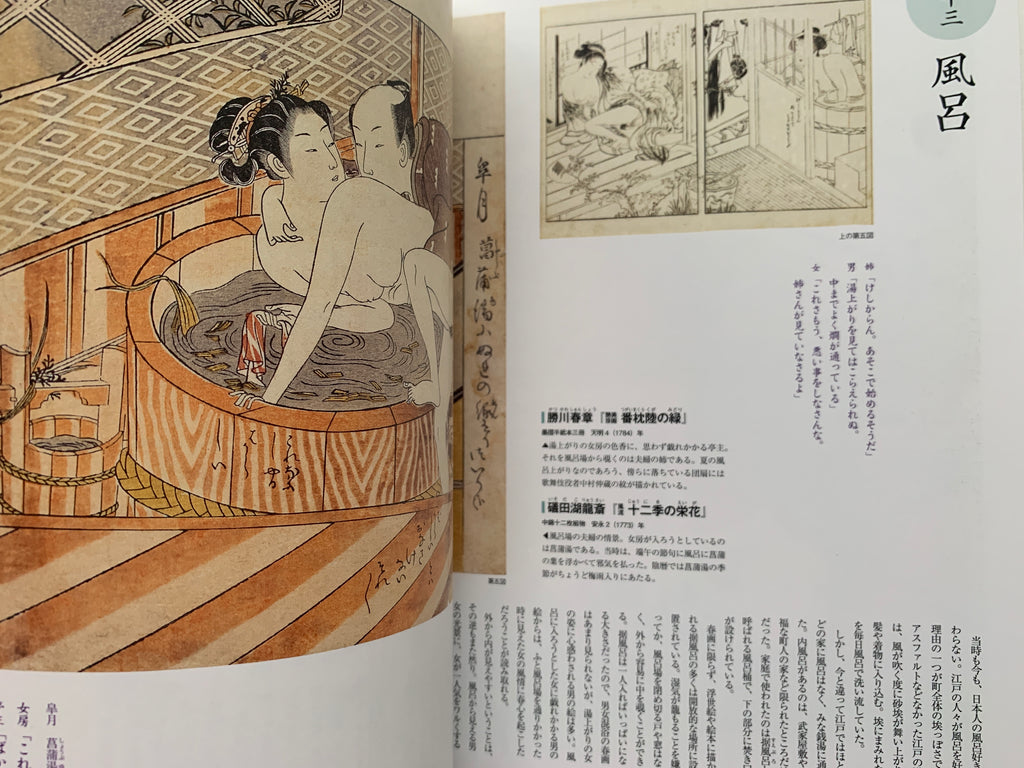 mini SHUNGA & mini SHUNGA II