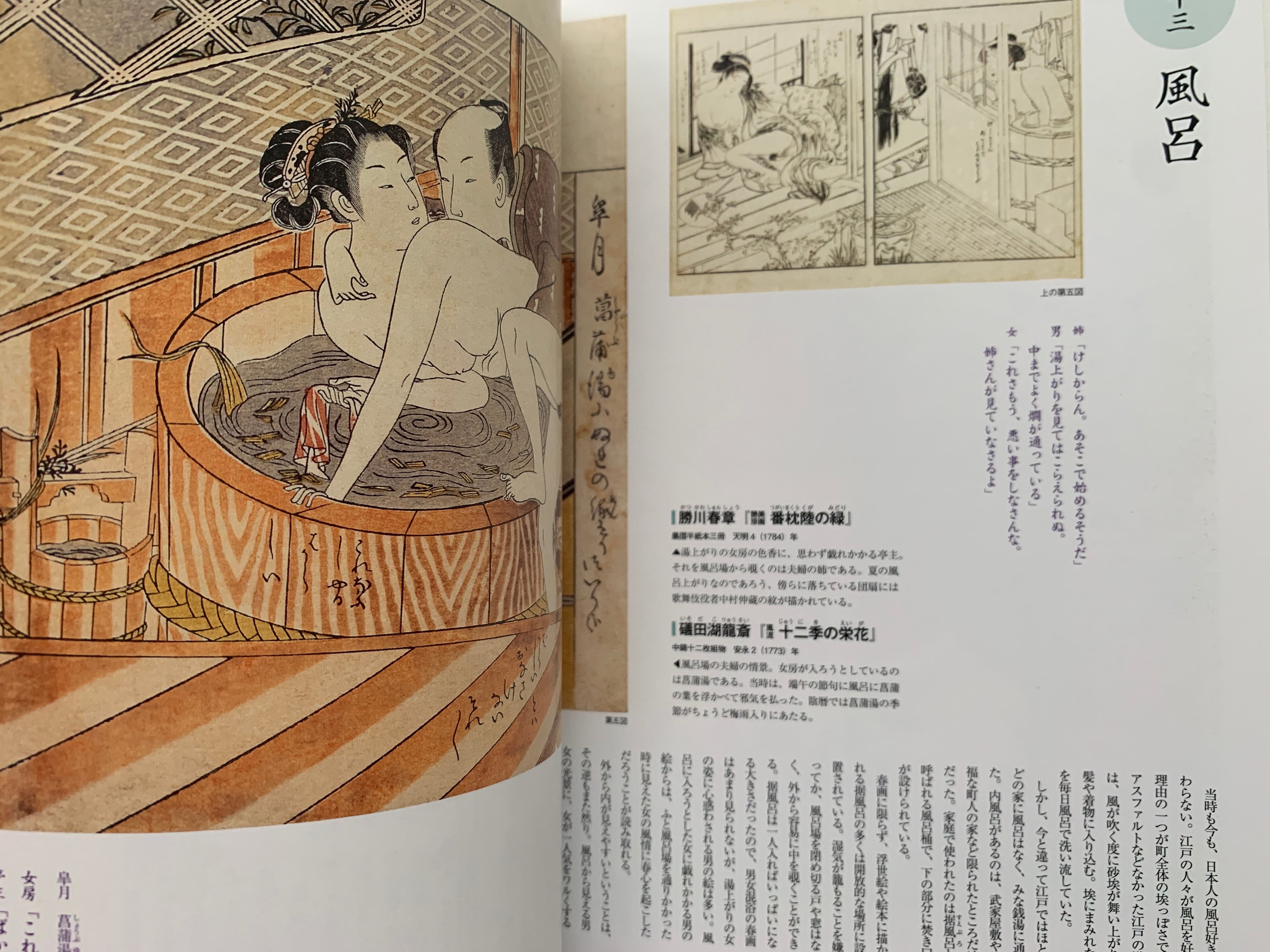 mini SHUNGA & mini SHUNGA II