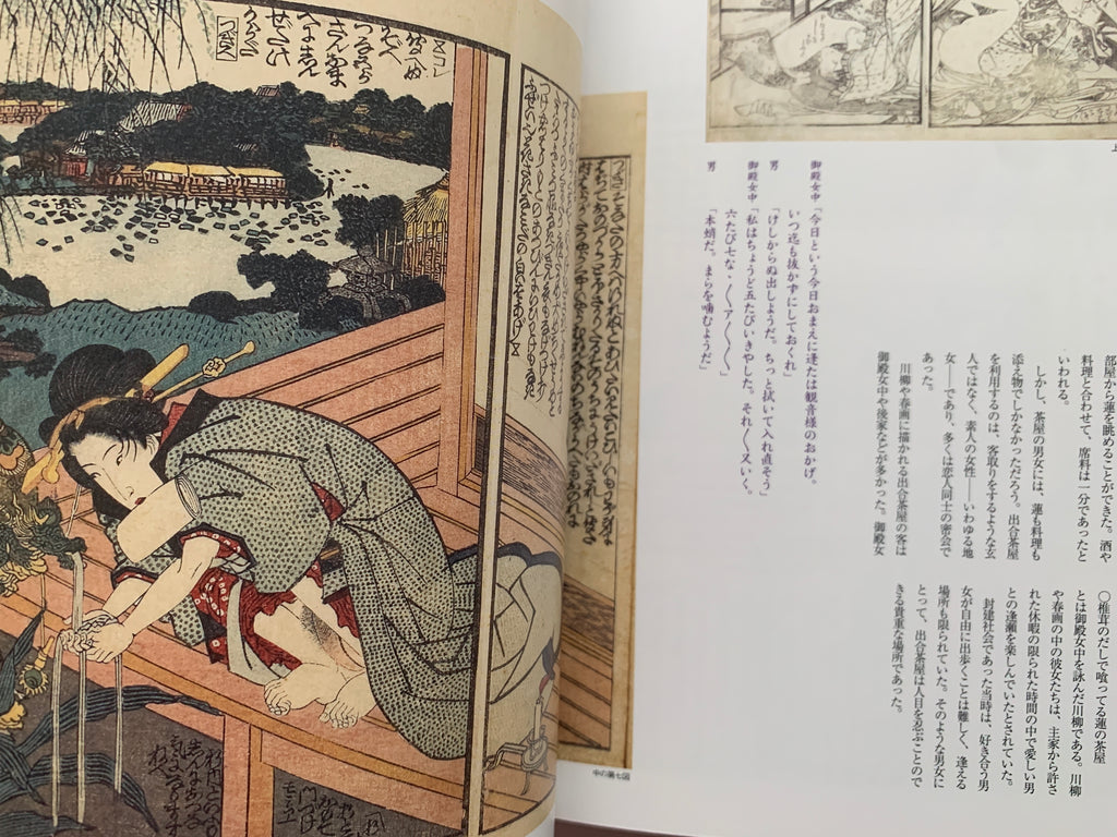 mini SHUNGA & mini SHUNGA II