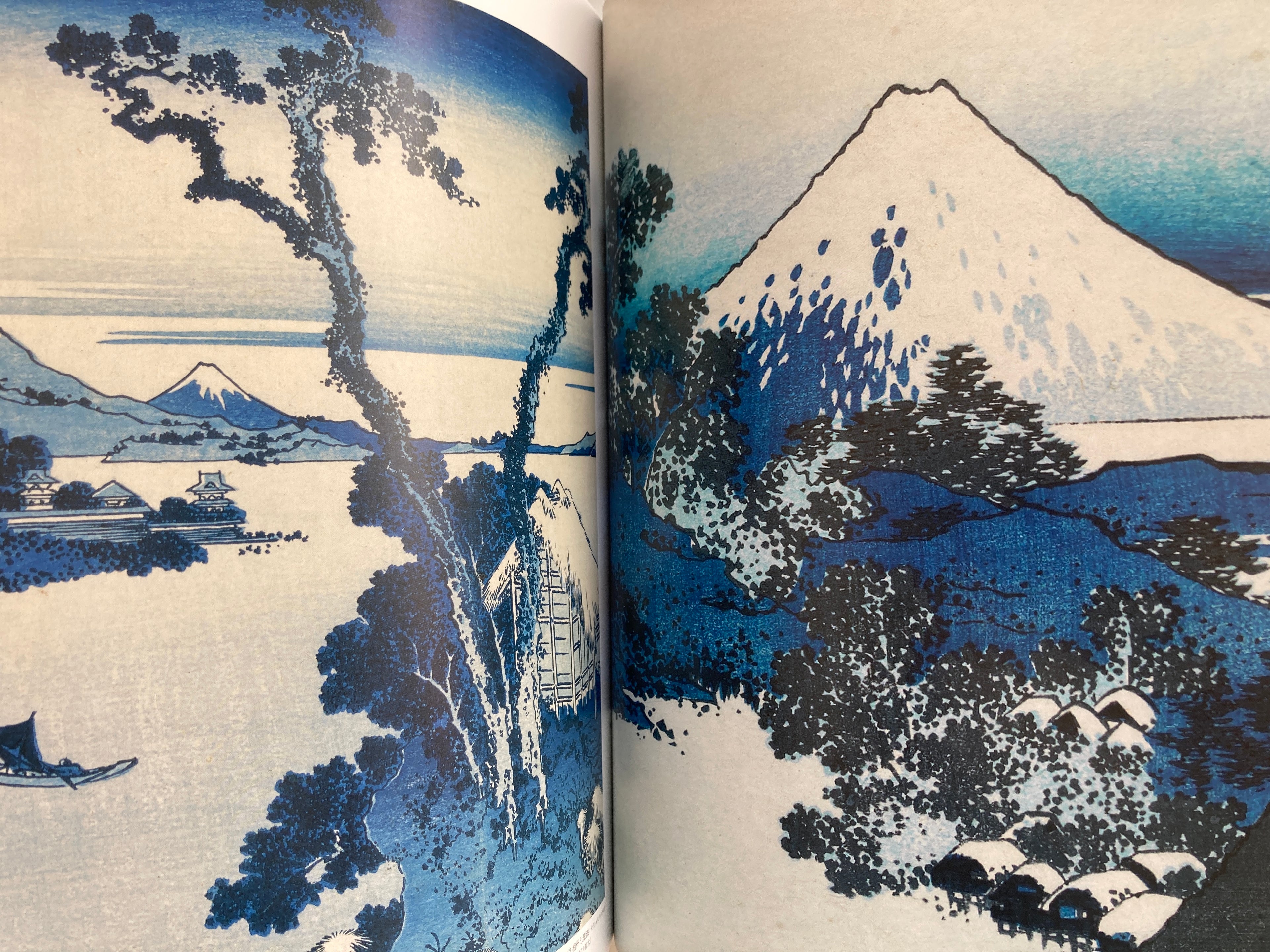 100% Hokusai! (100% ART MUSEUM)