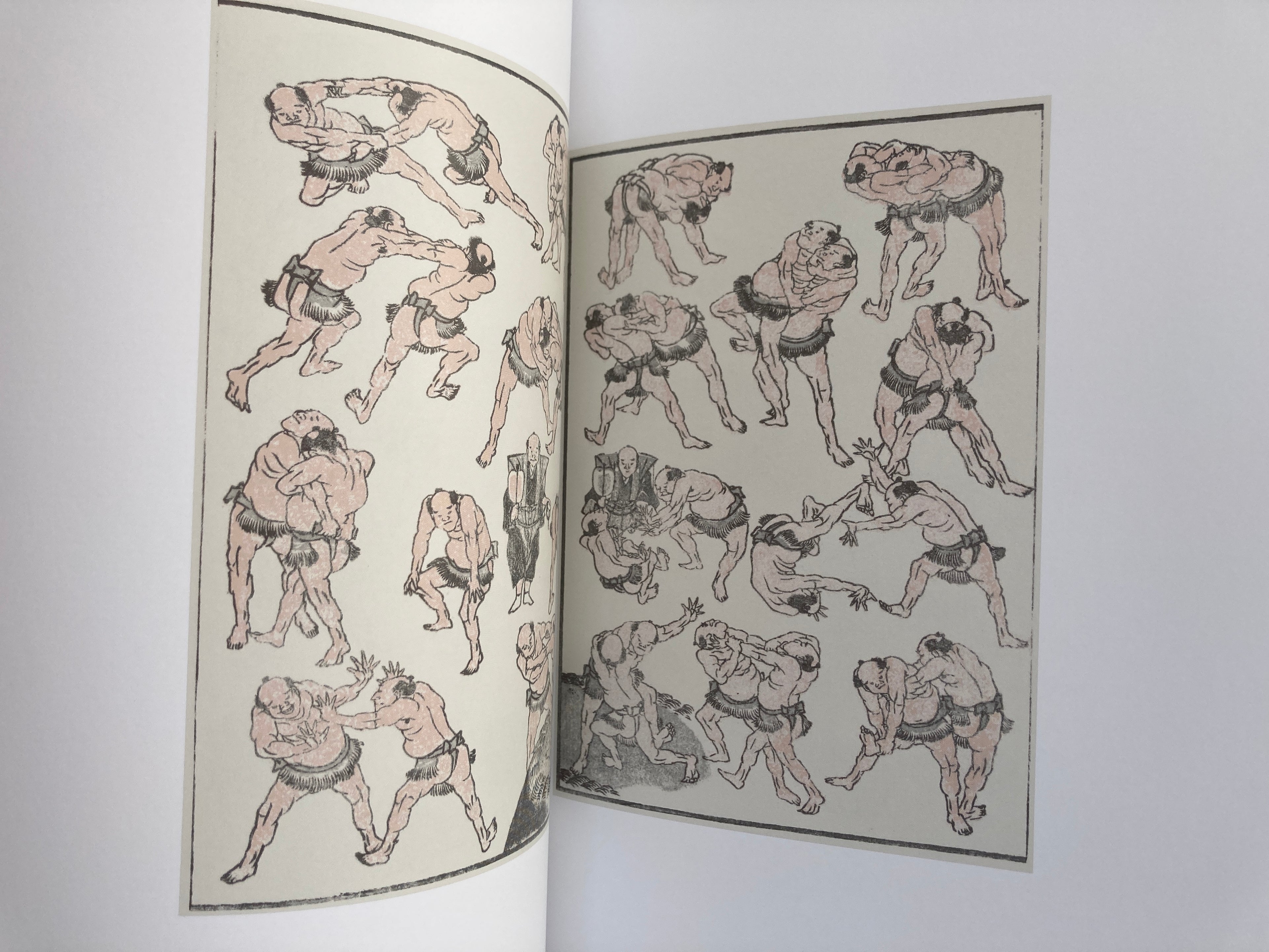 100% Hokusai! (100% ART MUSEUM)