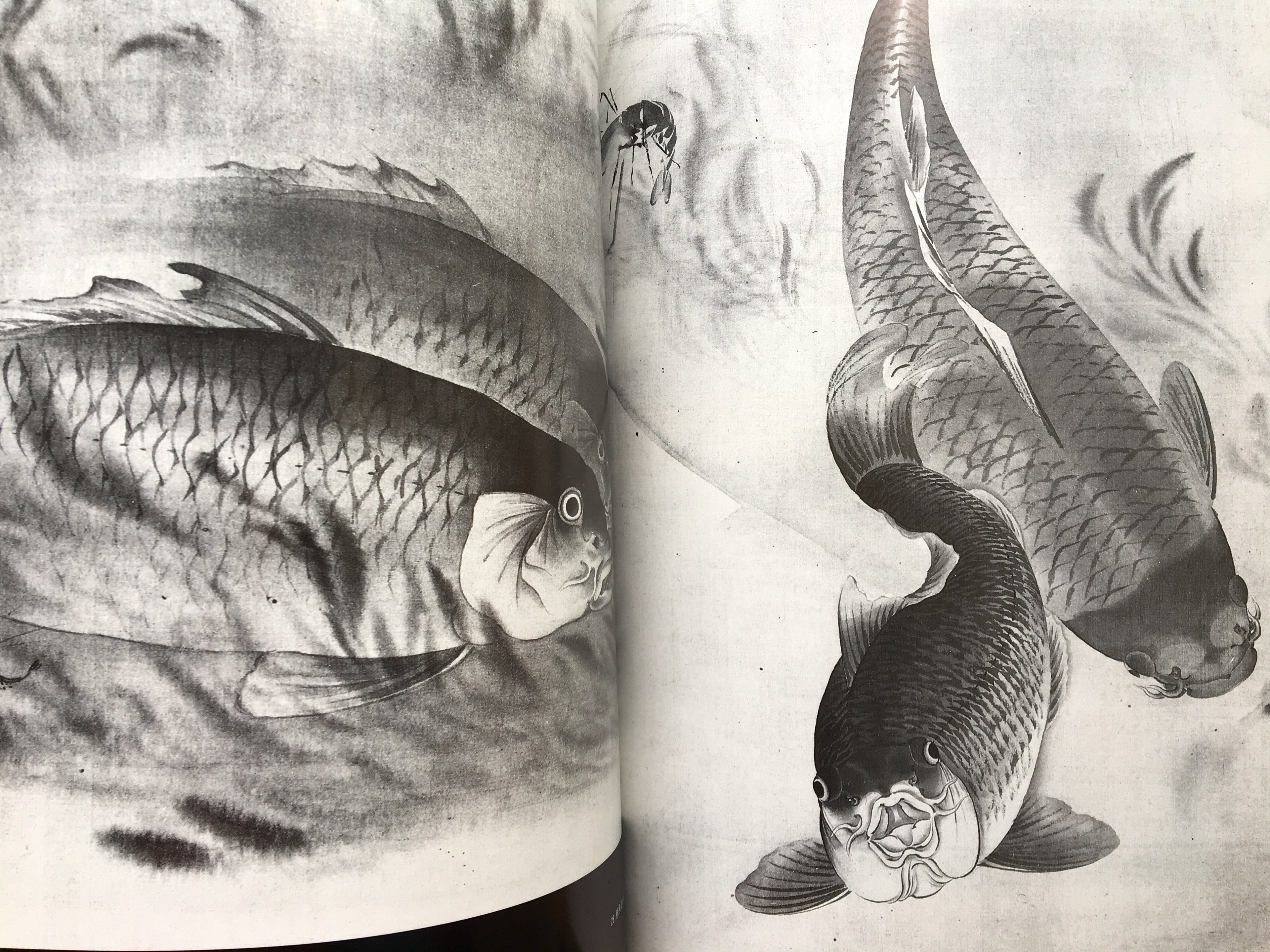 Kawanabe Kyosai. Explosion of Passion