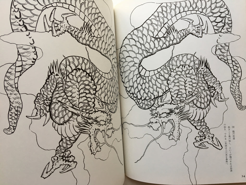 How to Draw Dragons by Tansai Terano