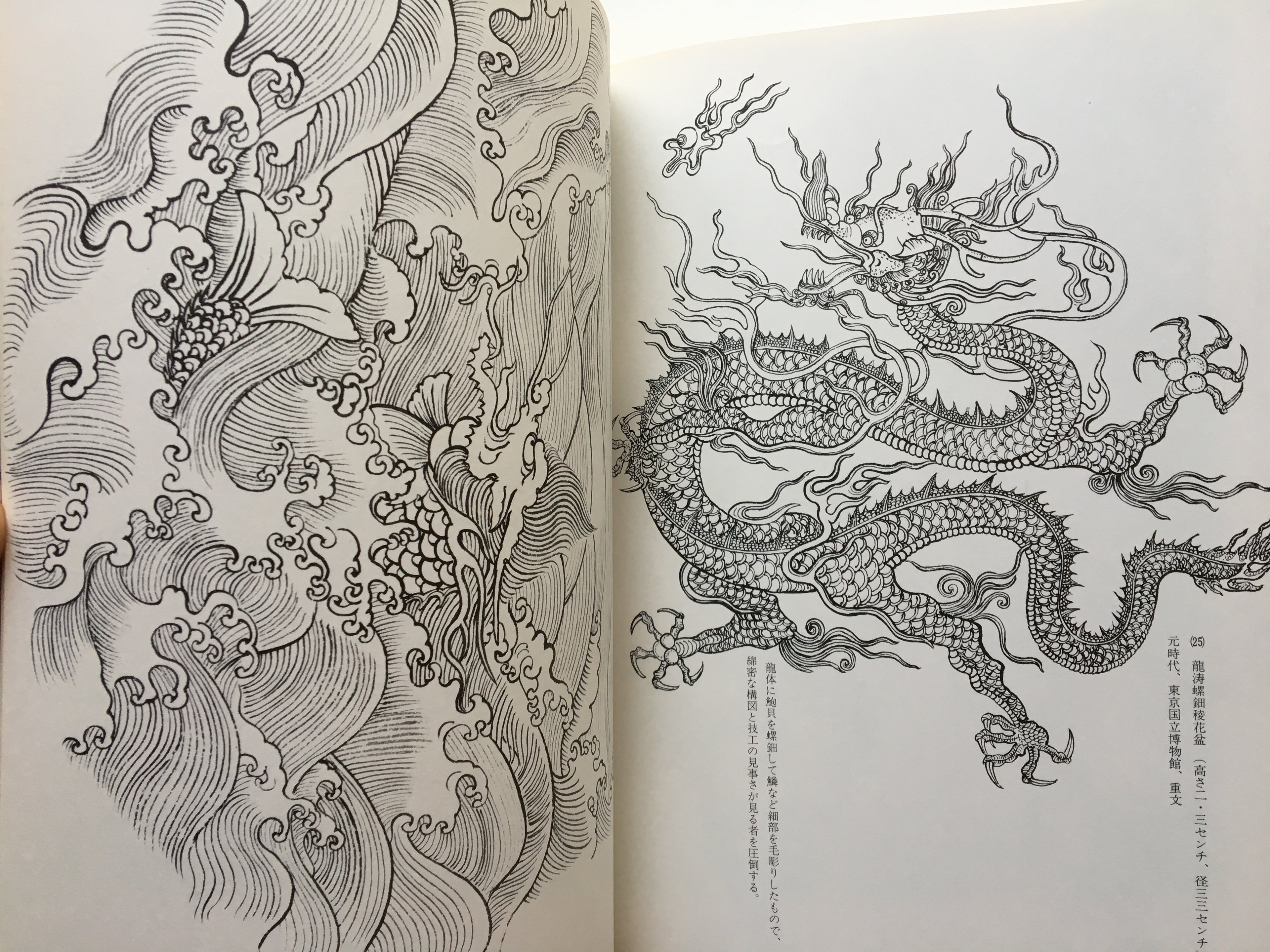 How to Draw Dragons by Tansai Terano