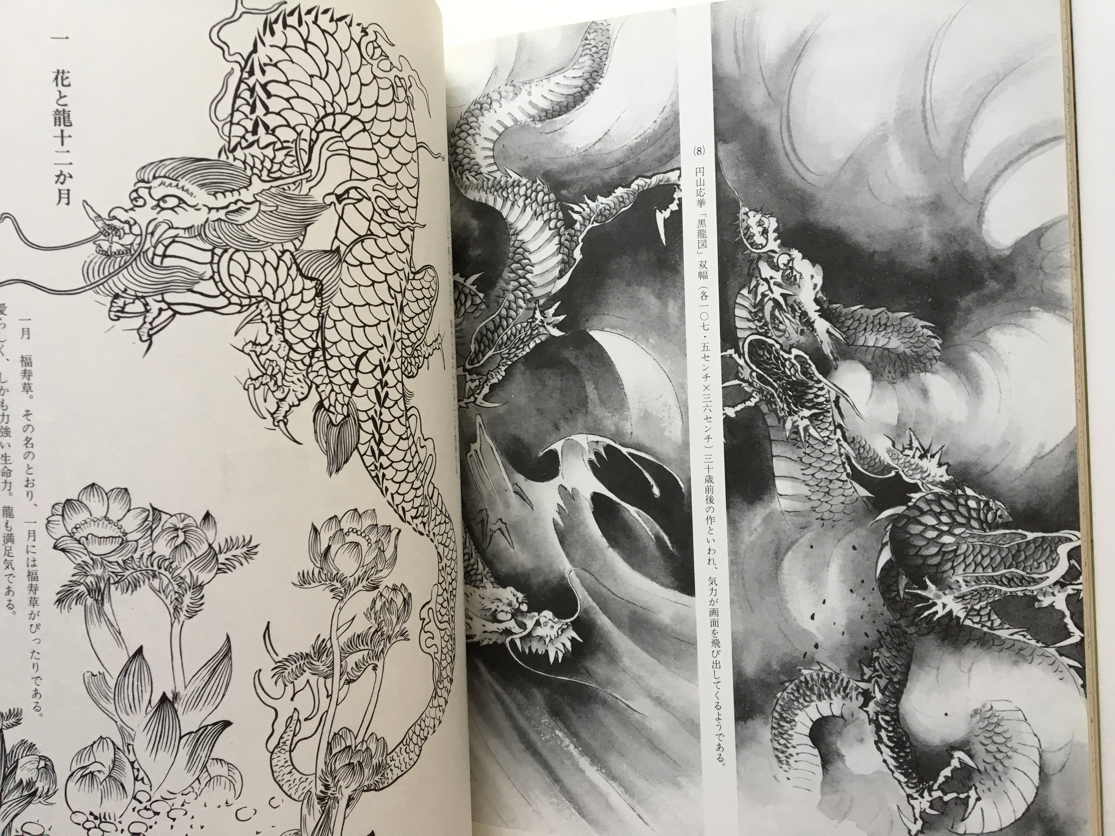 How to Draw Dragons by Tansai Terano