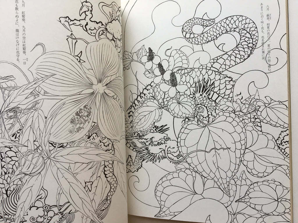 How to Draw Dragons by Tansai Terano