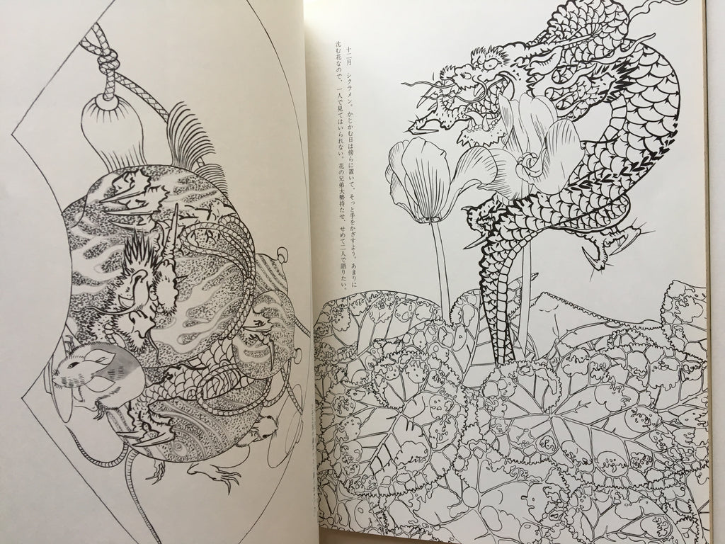 How to Draw Dragons by Tansai Terano