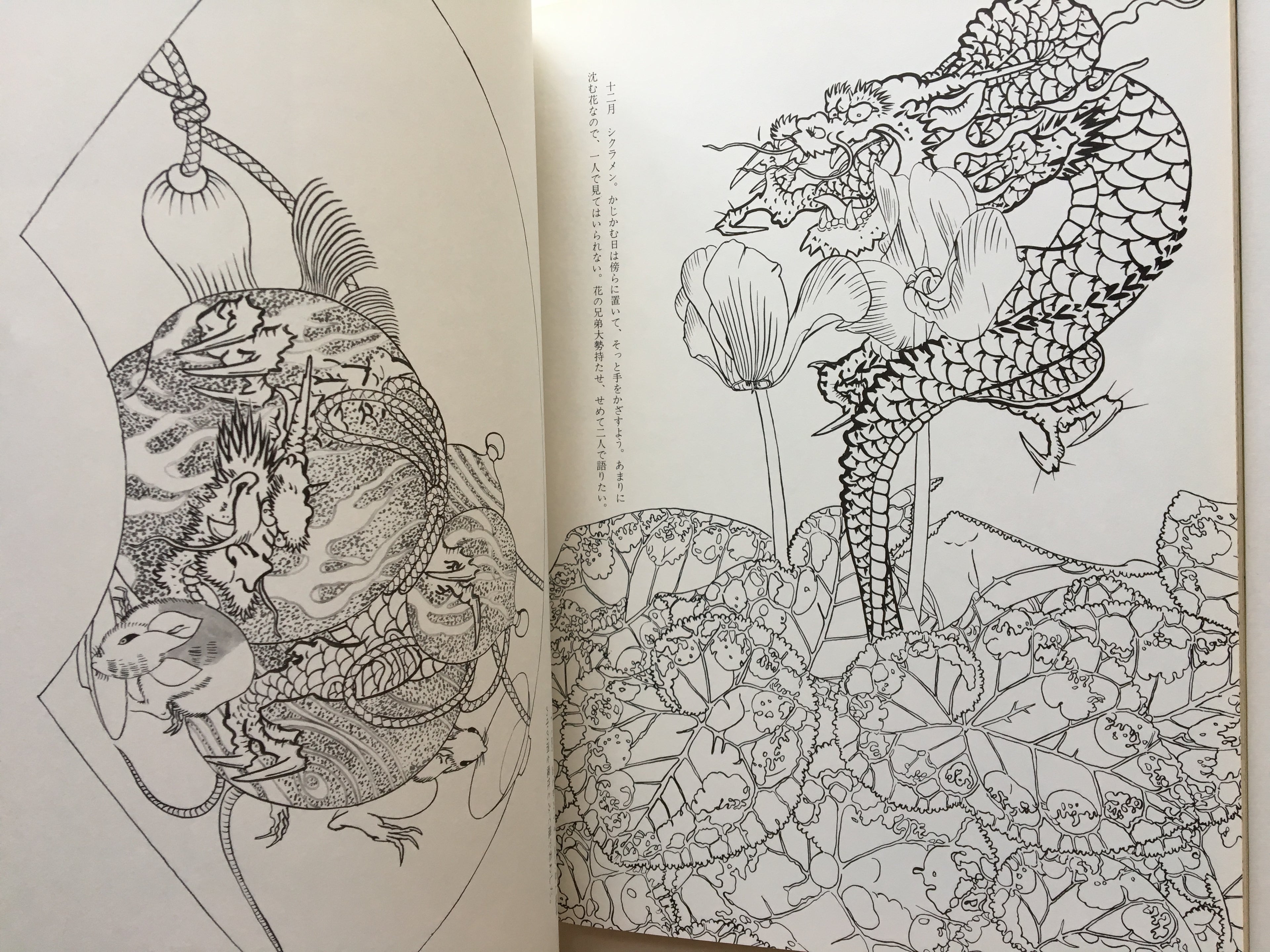 How to Draw Dragons by Tansai Terano