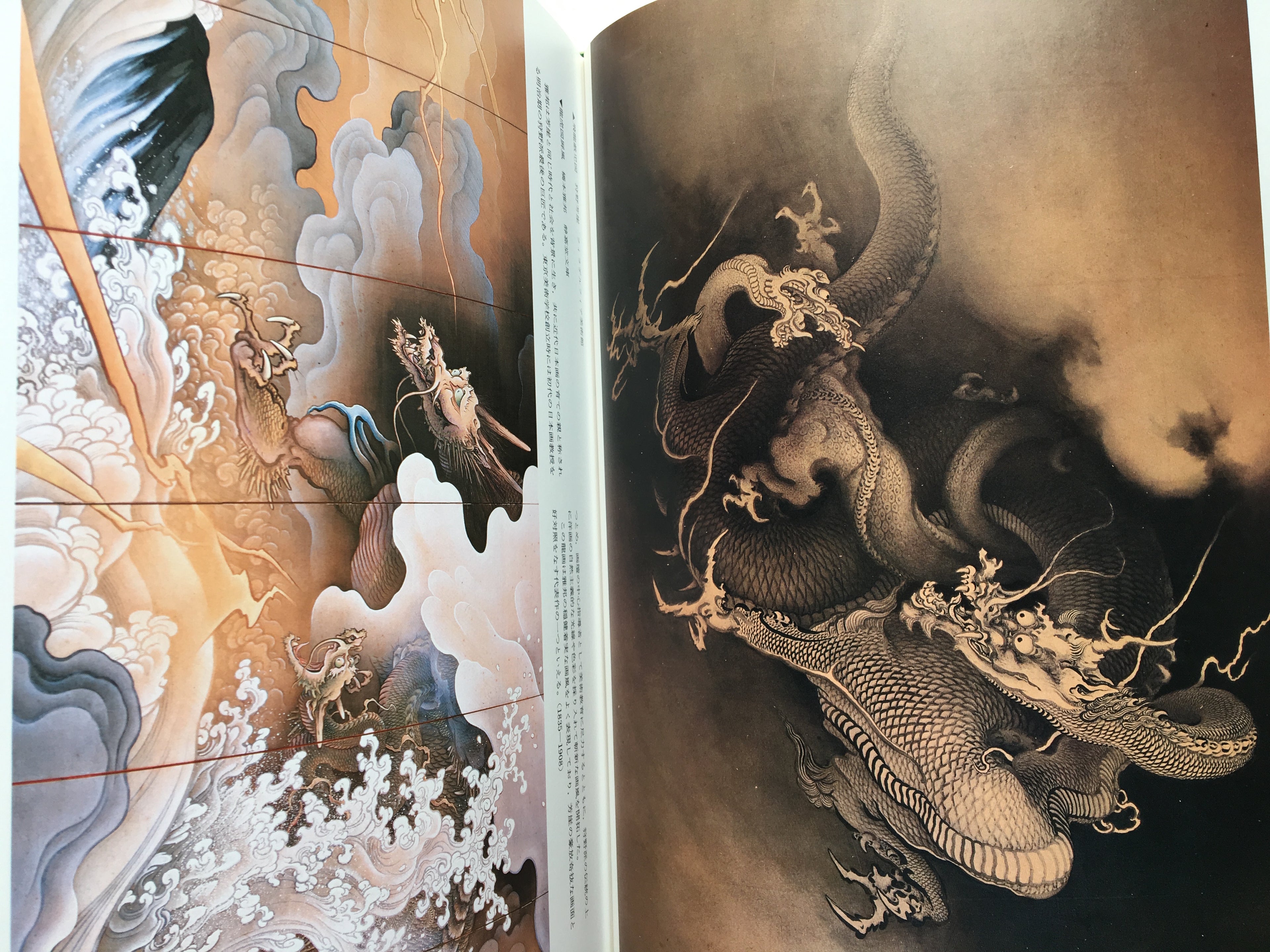 Images of 100 Dragons by Tansai Terano