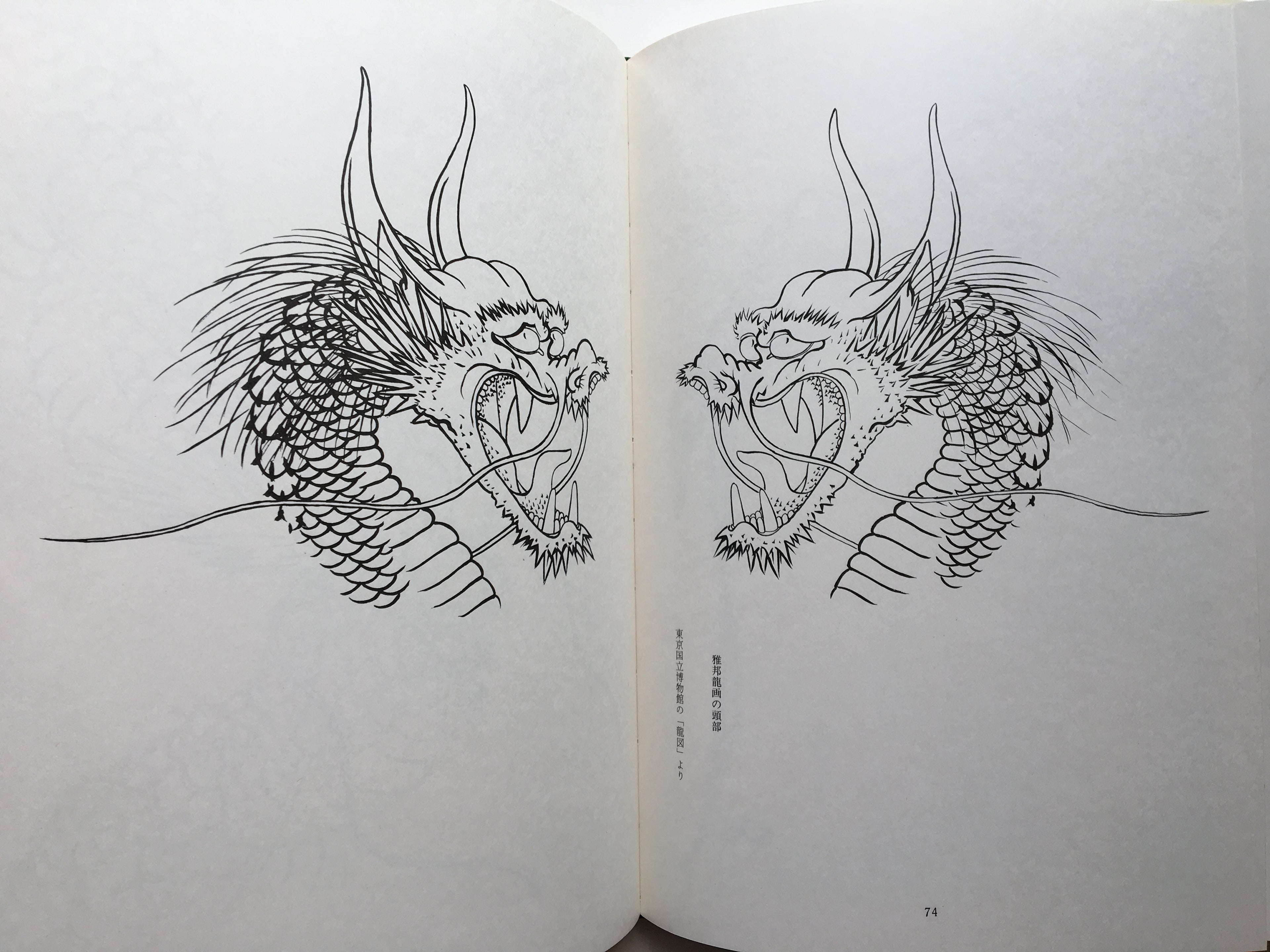 Images of 100 Dragons by Tansai Terano