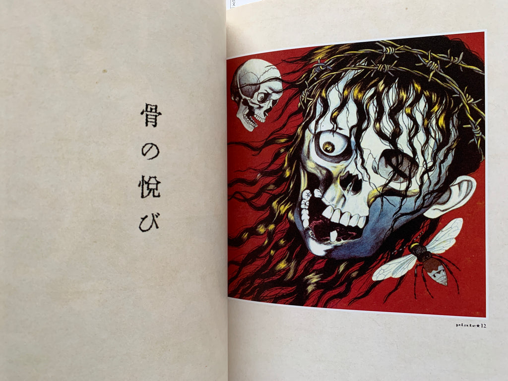 MARUO GRAPH DX II Revision