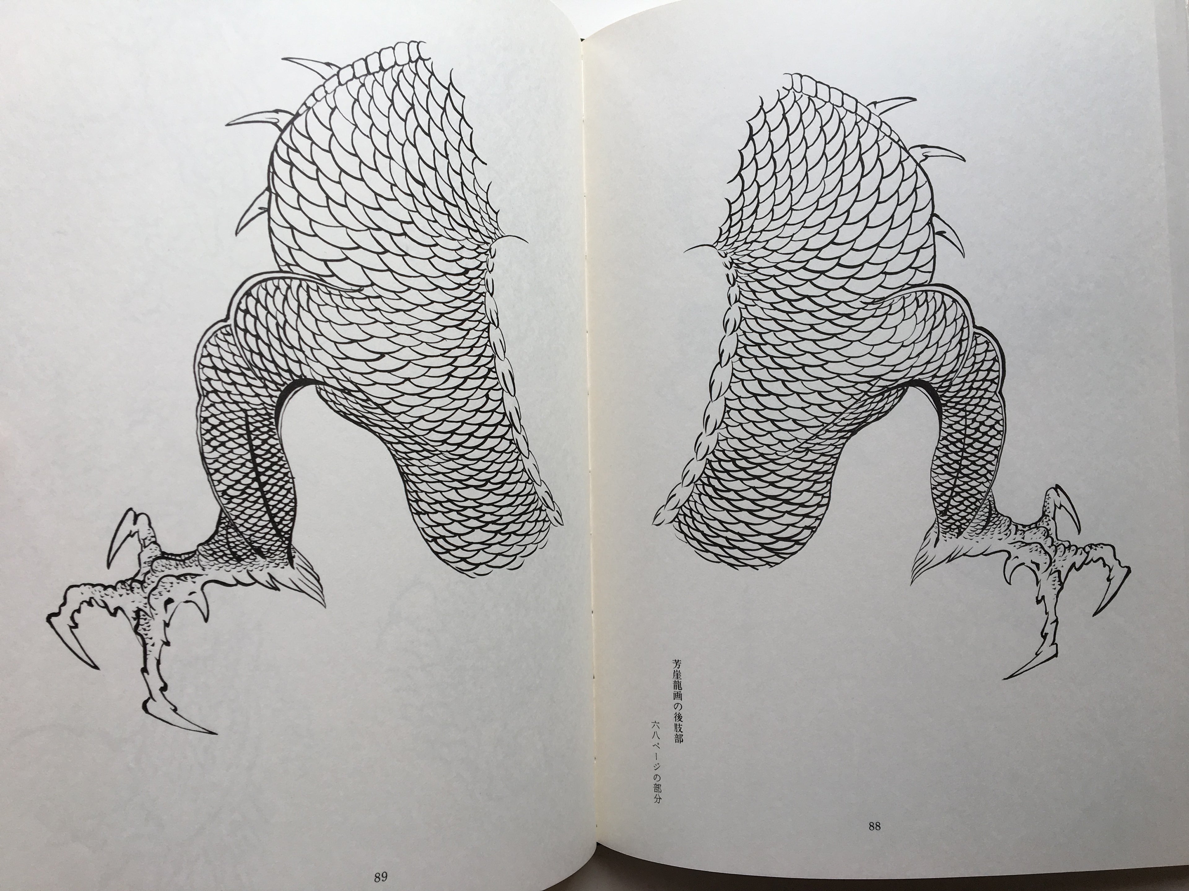 Images of 100 Dragons by Tansai Terano