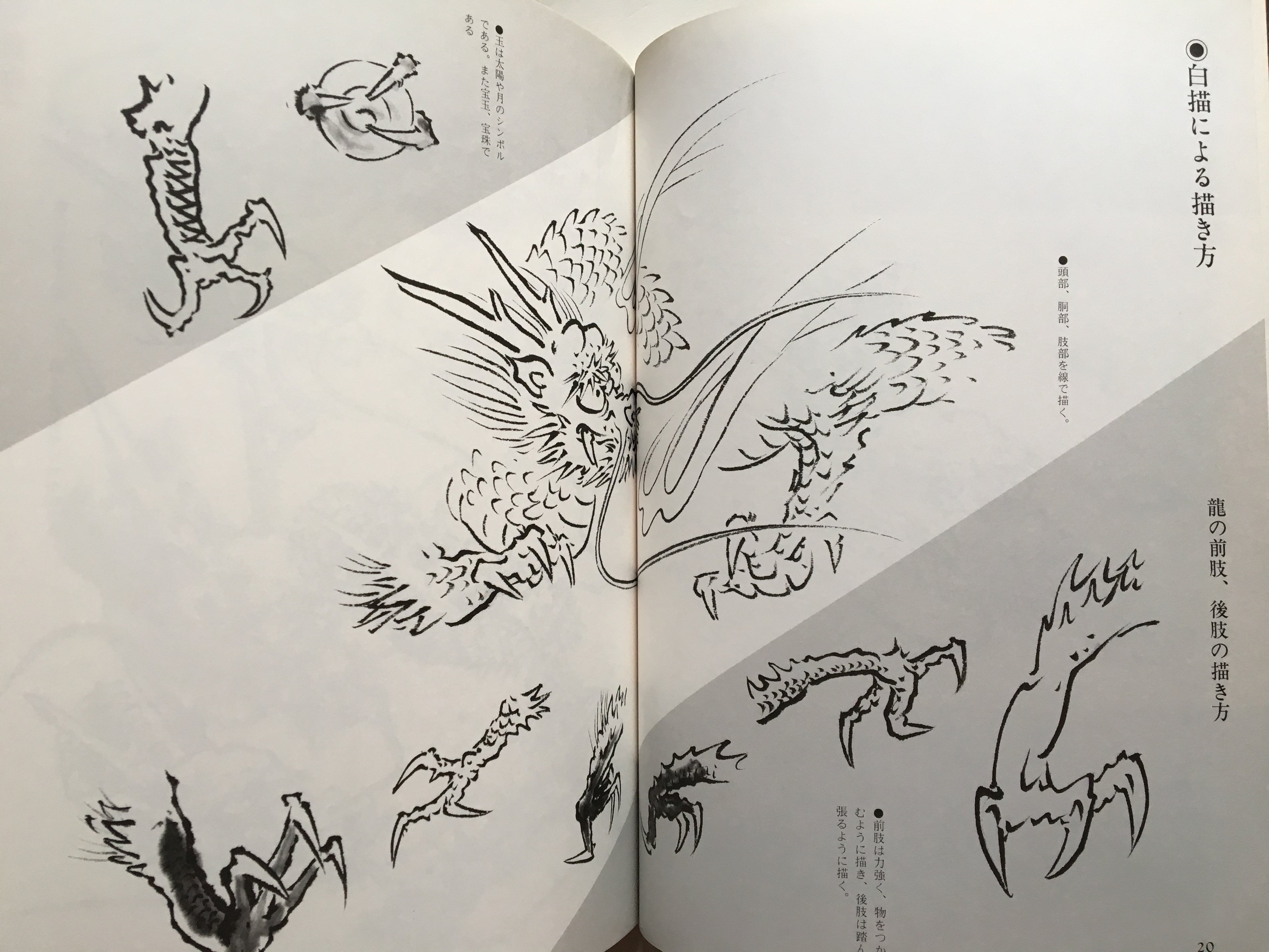 Suibokuga Magazine - How to Draw Dragons