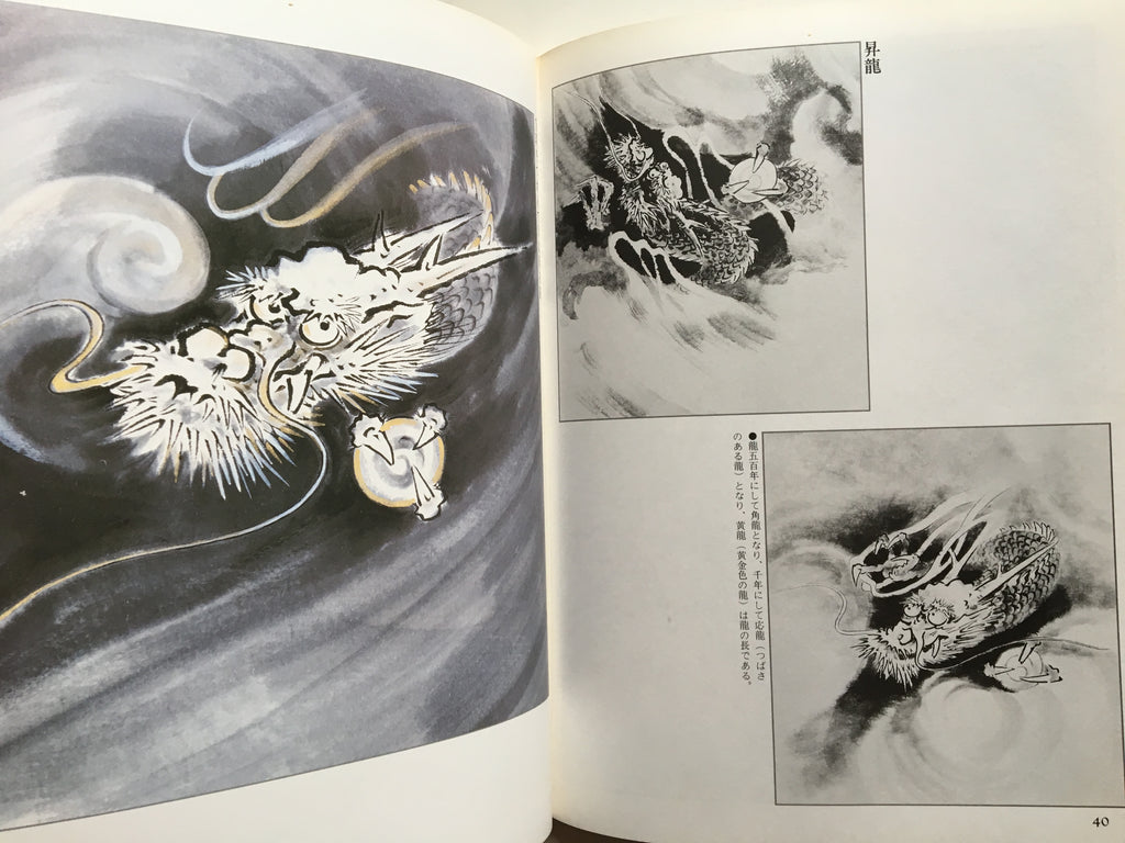 Suibokuga Magazine - How to Draw Dragons