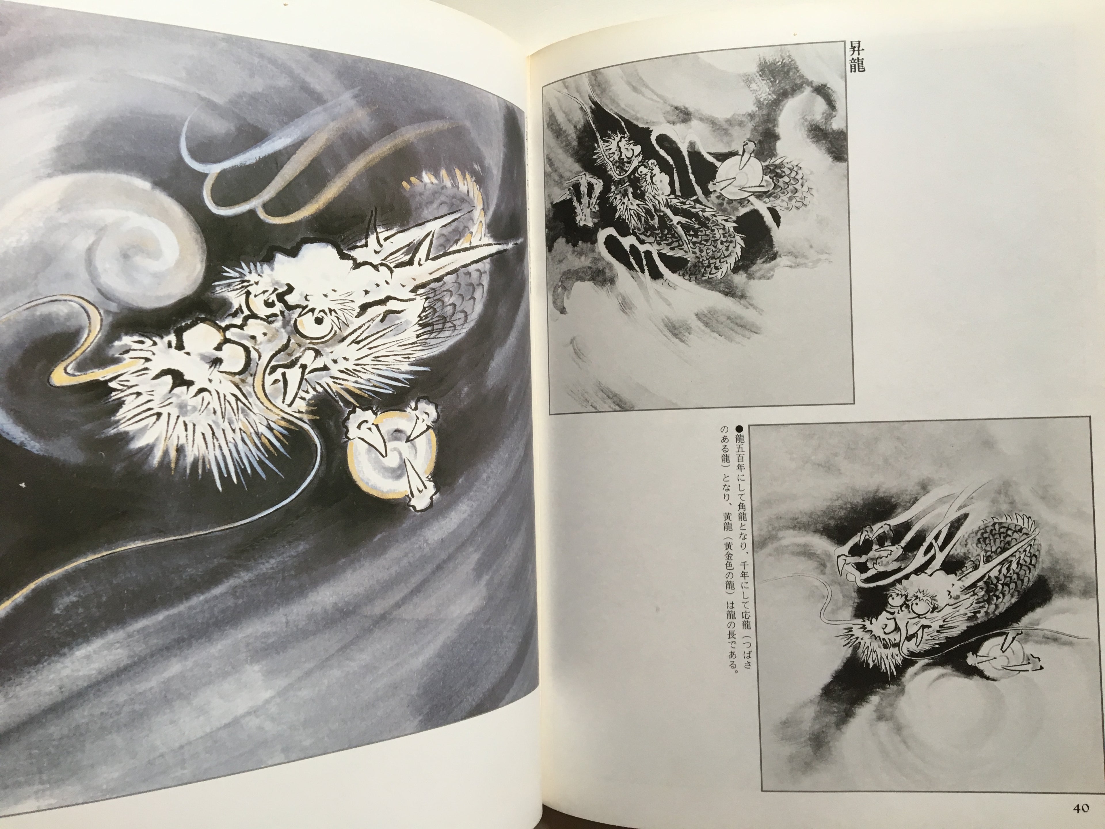 Suibokuga Magazine - How to Draw Dragons