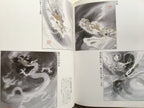 Suibokuga Magazine - How to Draw Dragons