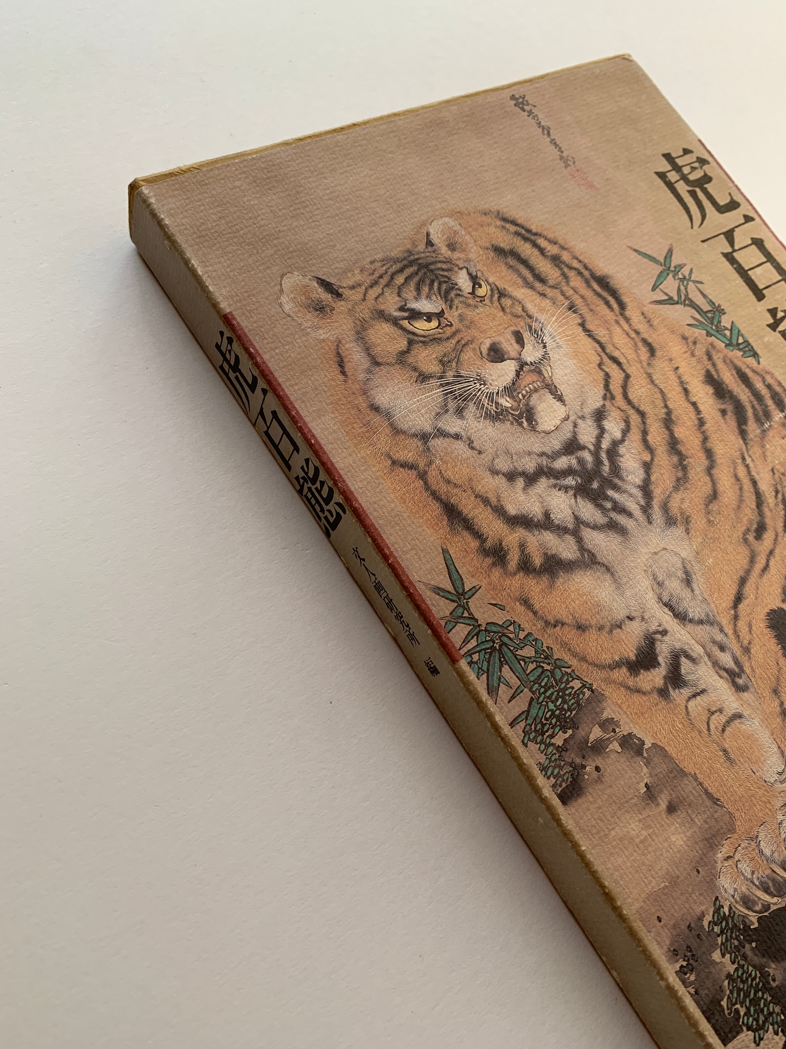 (Shop 1 + 1) “100 States of Tiger” & “Fierce Tiger” (SAVE 9,99€)