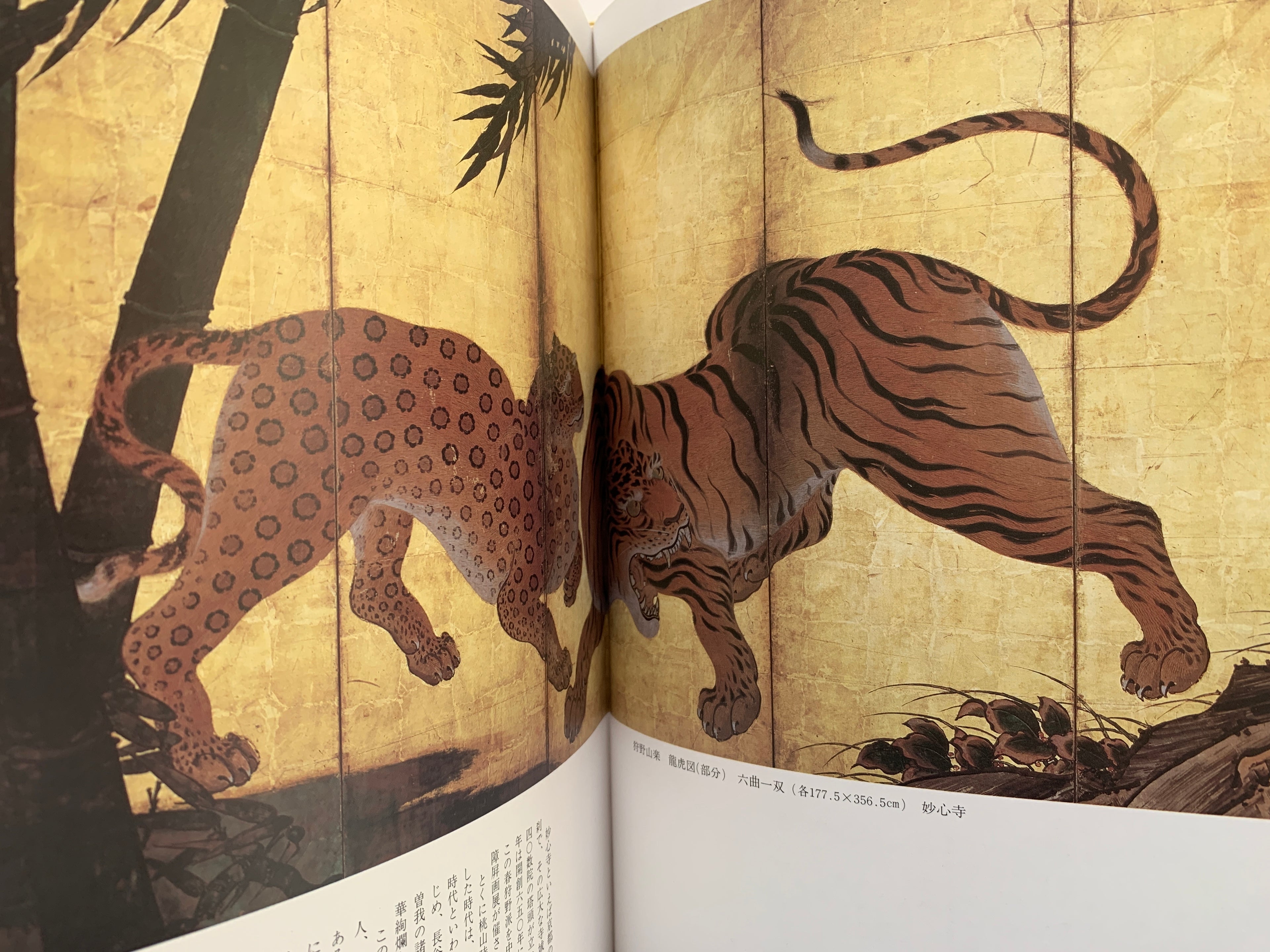 (Shop 1 + 1) “100 States of Tiger” & “Fierce Tiger” (SAVE 9,99€)