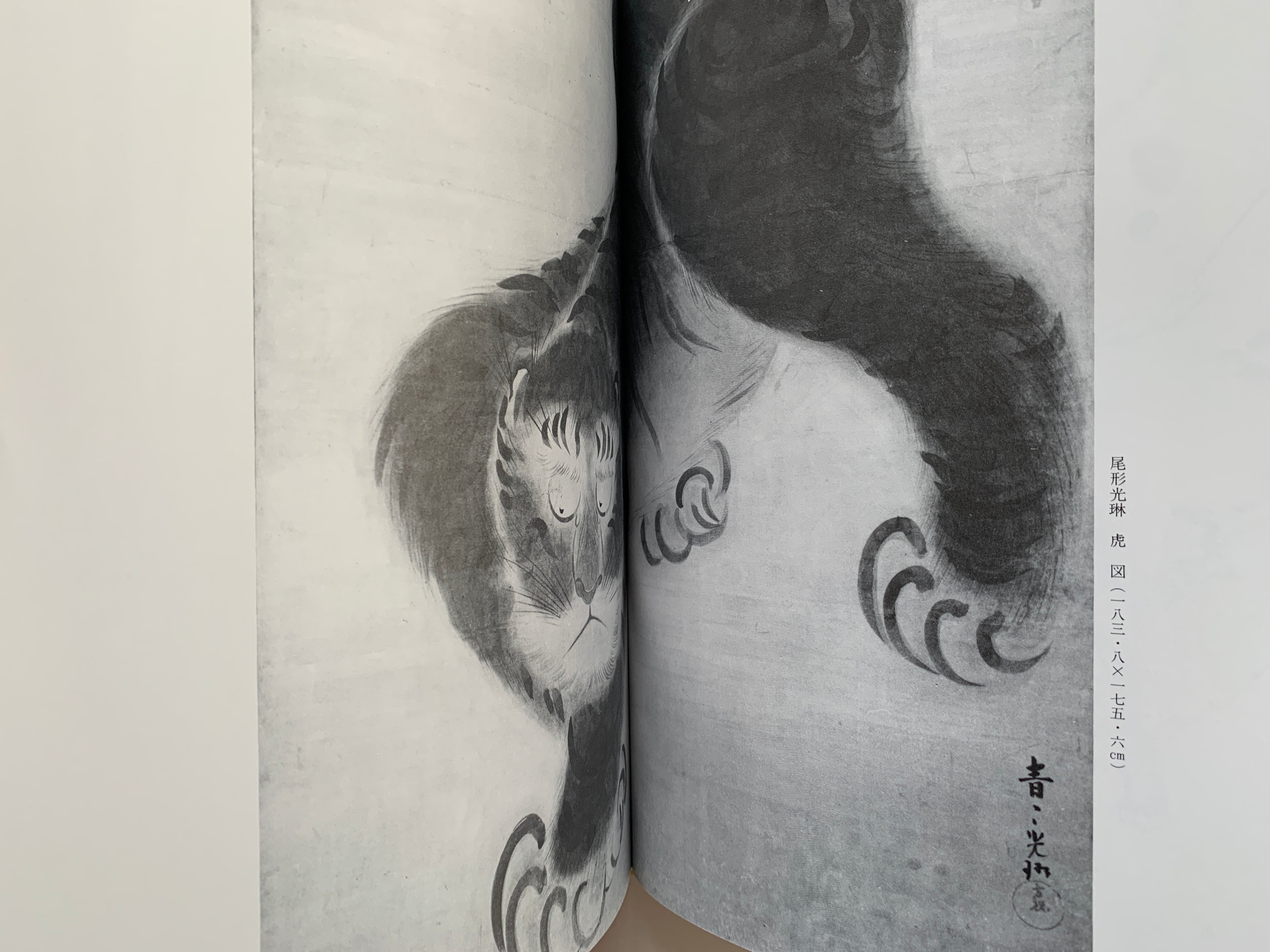 (Shop 1 + 1) “100 States of Tiger” & “Fierce Tiger” (SAVE 9,99€)