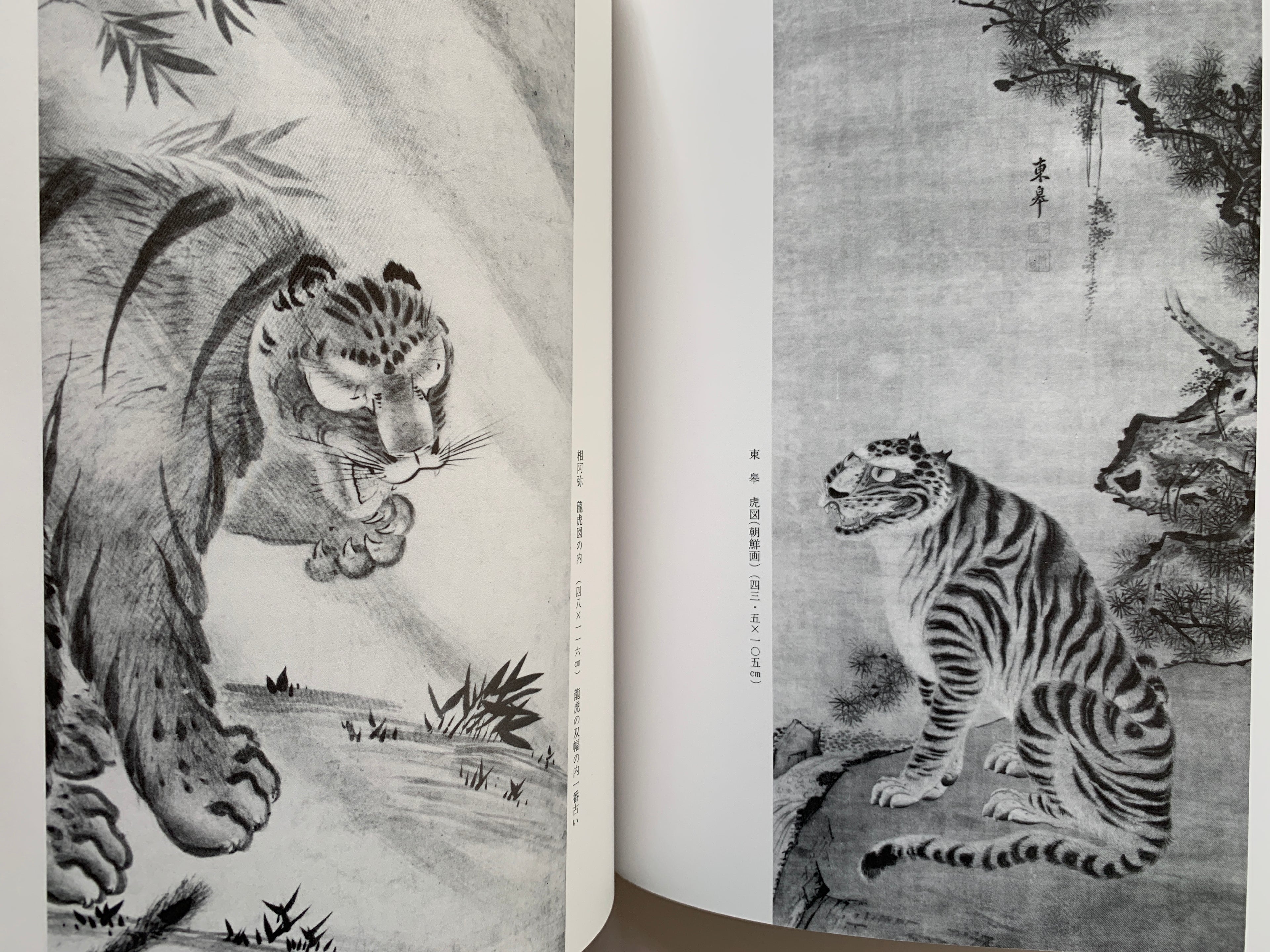 (Shop 1 + 1) “100 States of Tiger” & “Fierce Tiger” (SAVE 9,99€)