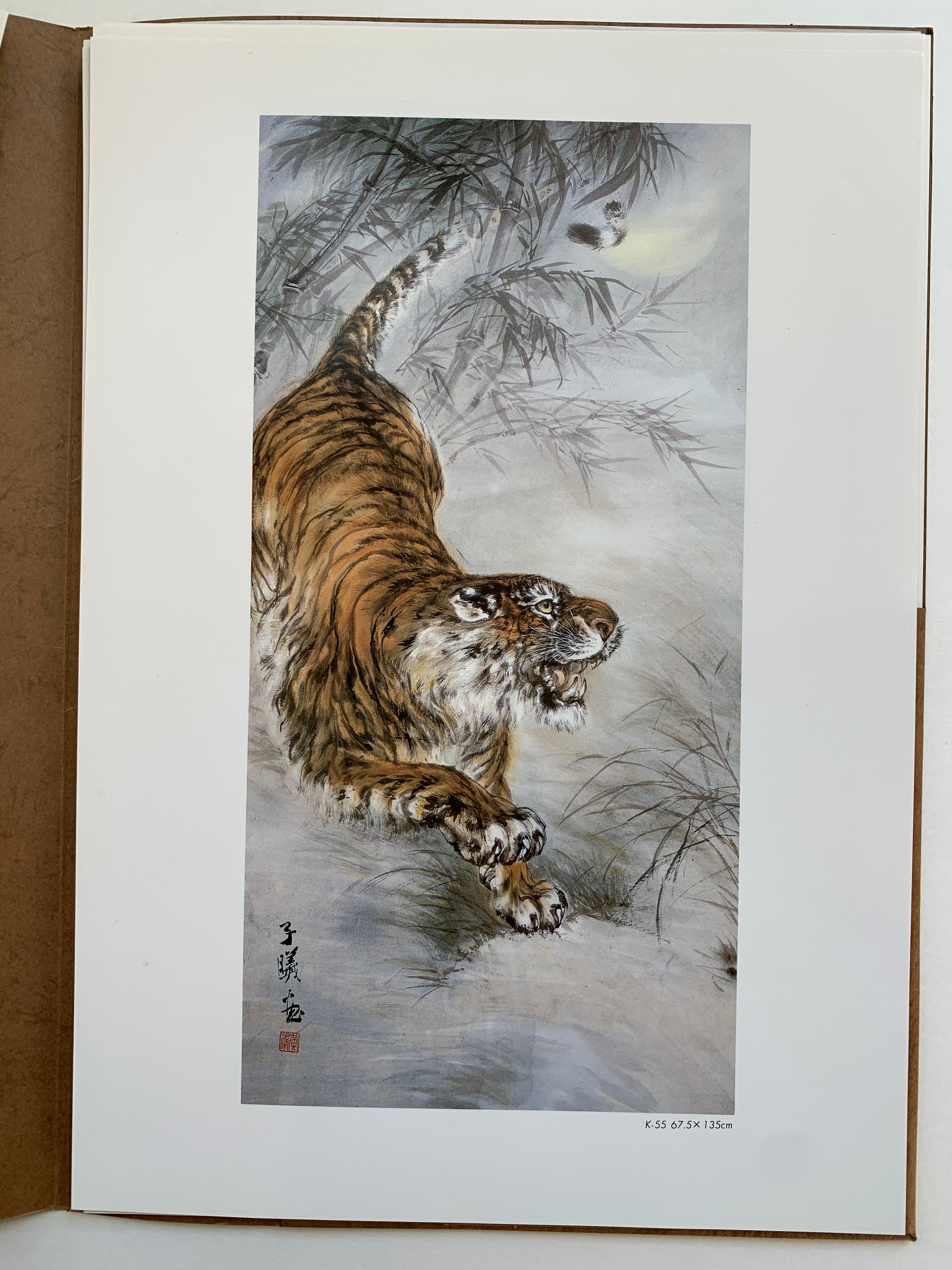 (Shop 1 + 1) “100 States of Tiger” & “Fierce Tiger” (SAVE 9,99€)