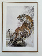 (Shop 1 + 1) “100 States of Tiger” & “Fierce Tiger” (SAVE 9,99€)