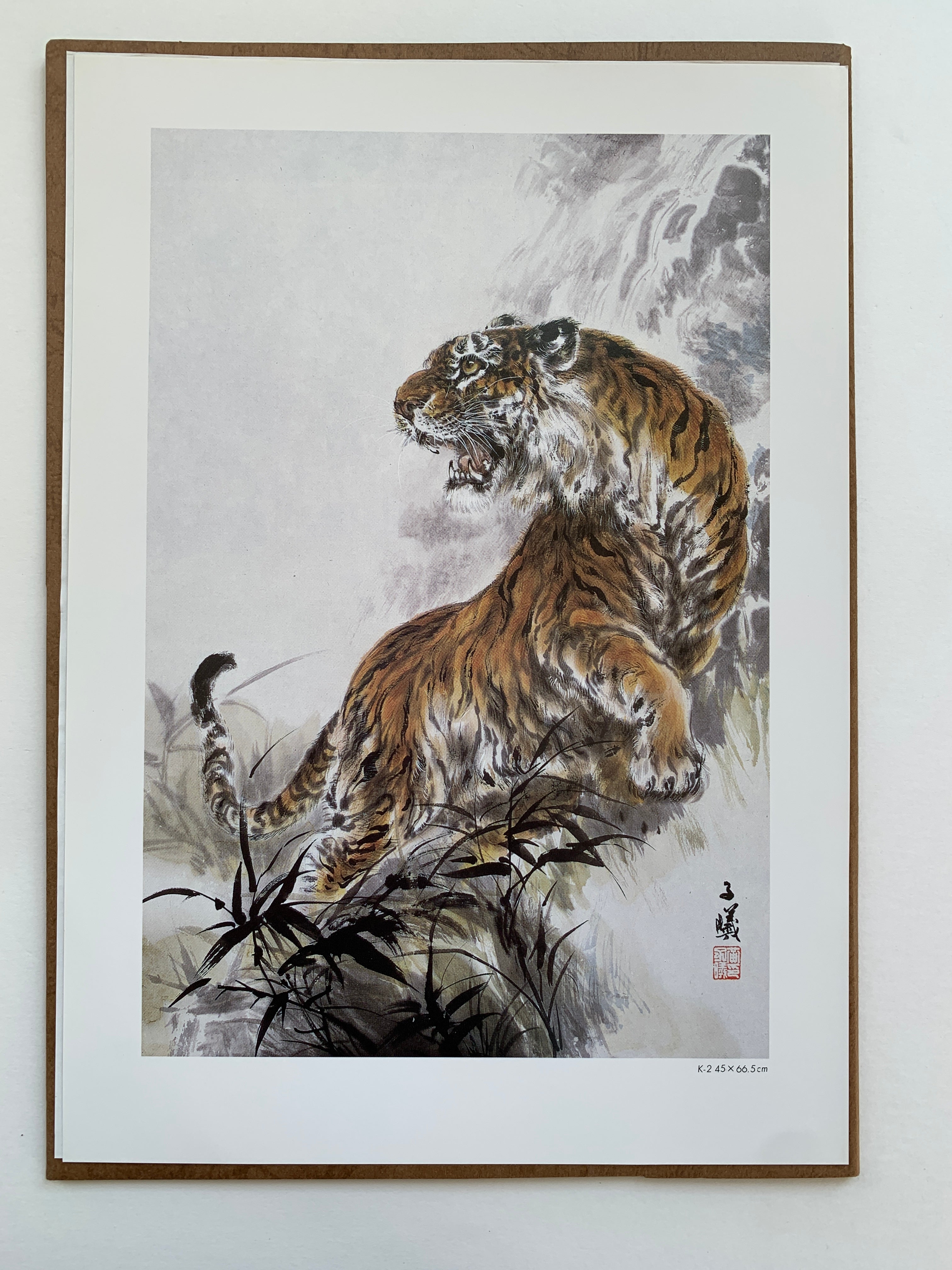 (Shop 1 + 1) “100 States of Tiger” & “Fierce Tiger” (SAVE 9,99€)