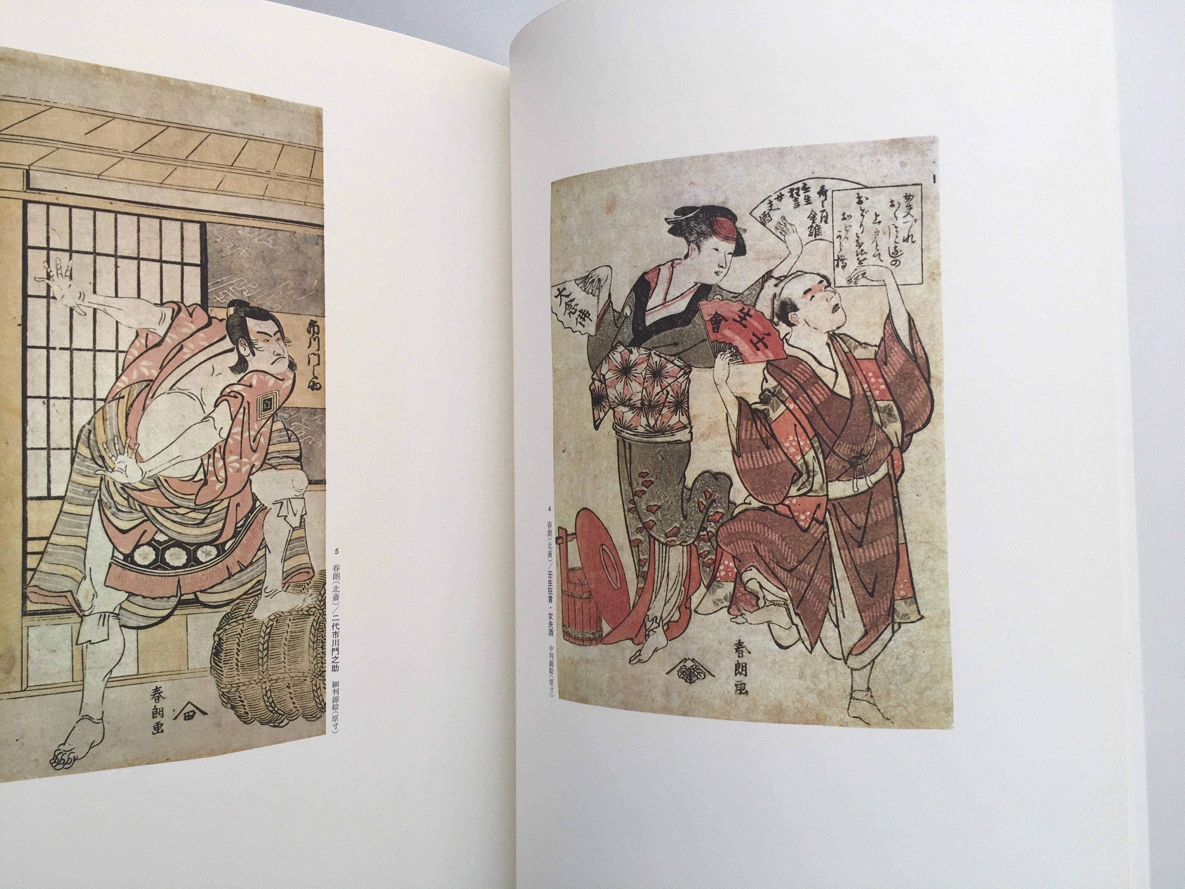 Ukiyo-e Taikei Big Size 8-kan/ HOKUSAI