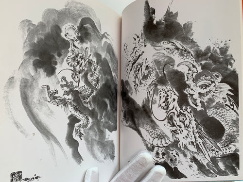 100 phases of Dragon