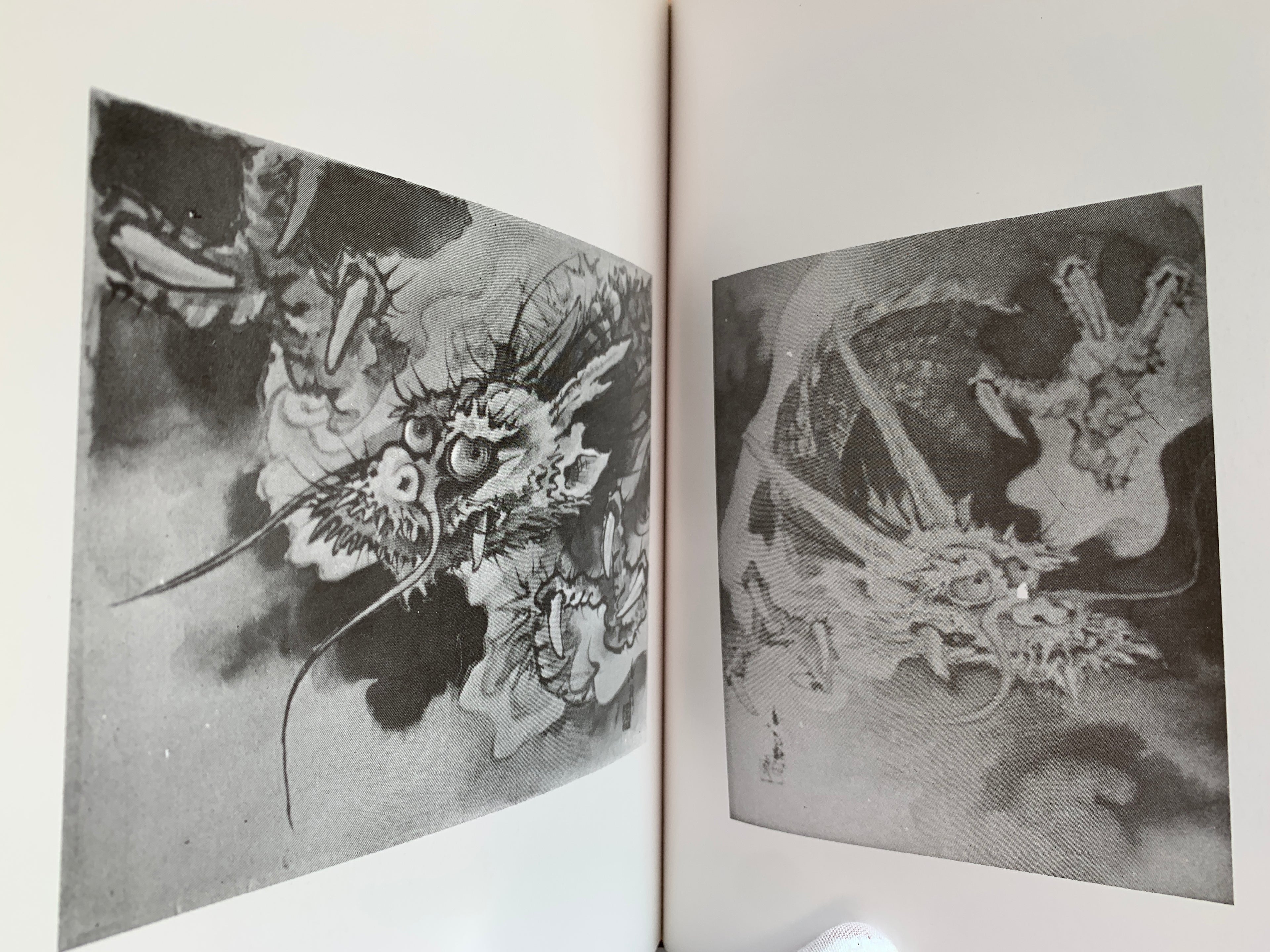 100 phases of Dragon