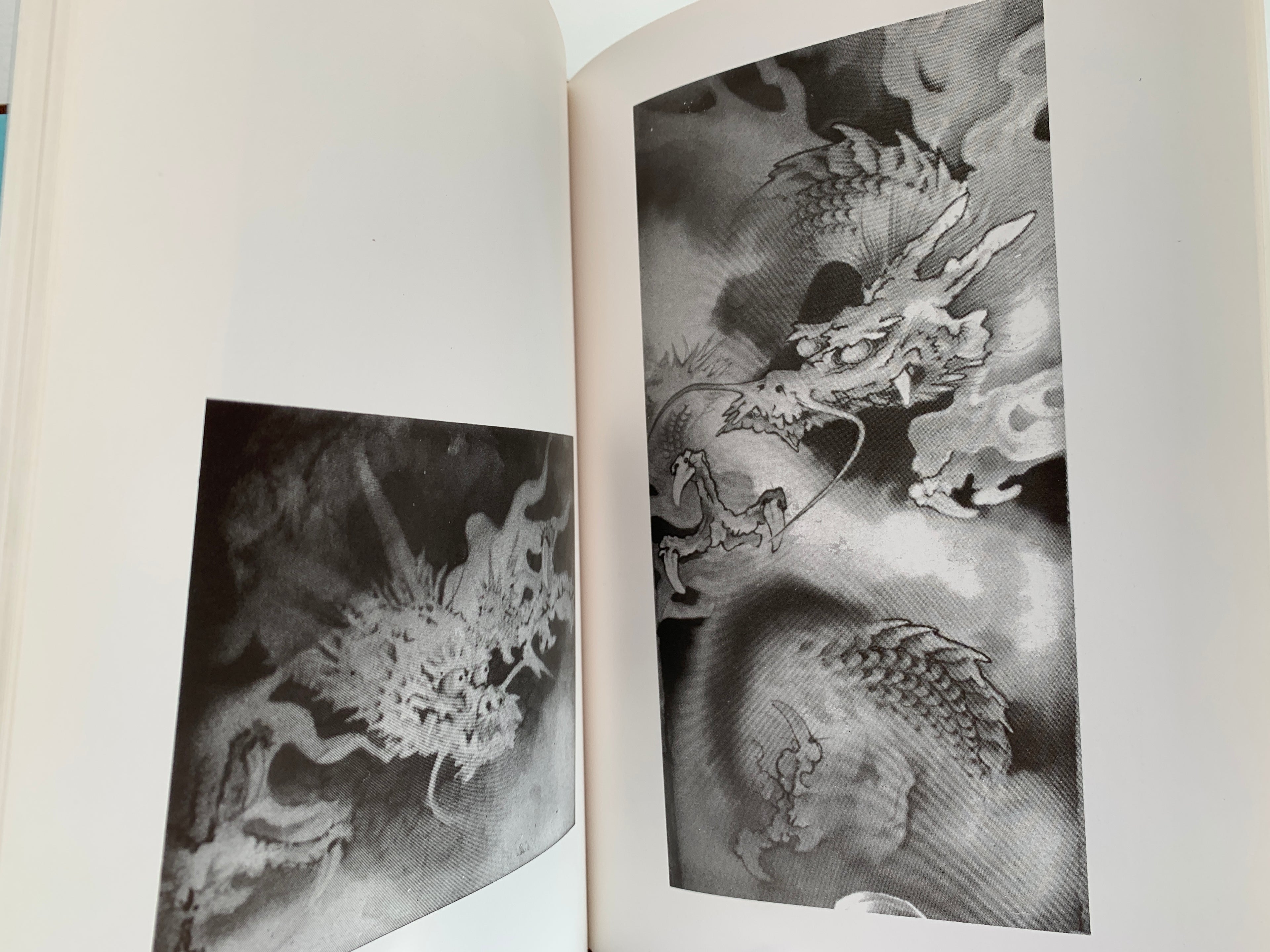 100 phases of Dragon