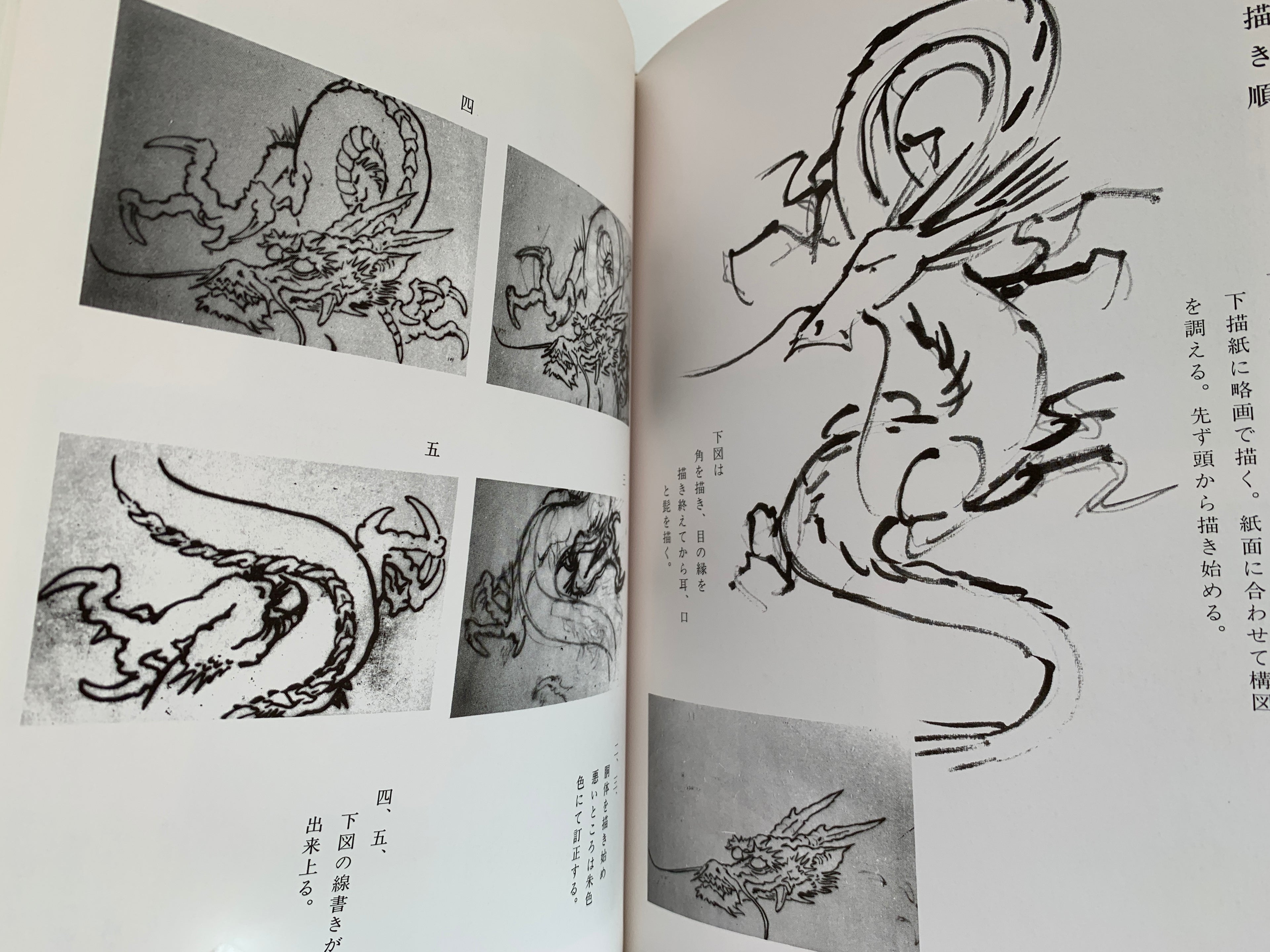 100 phases of Dragon