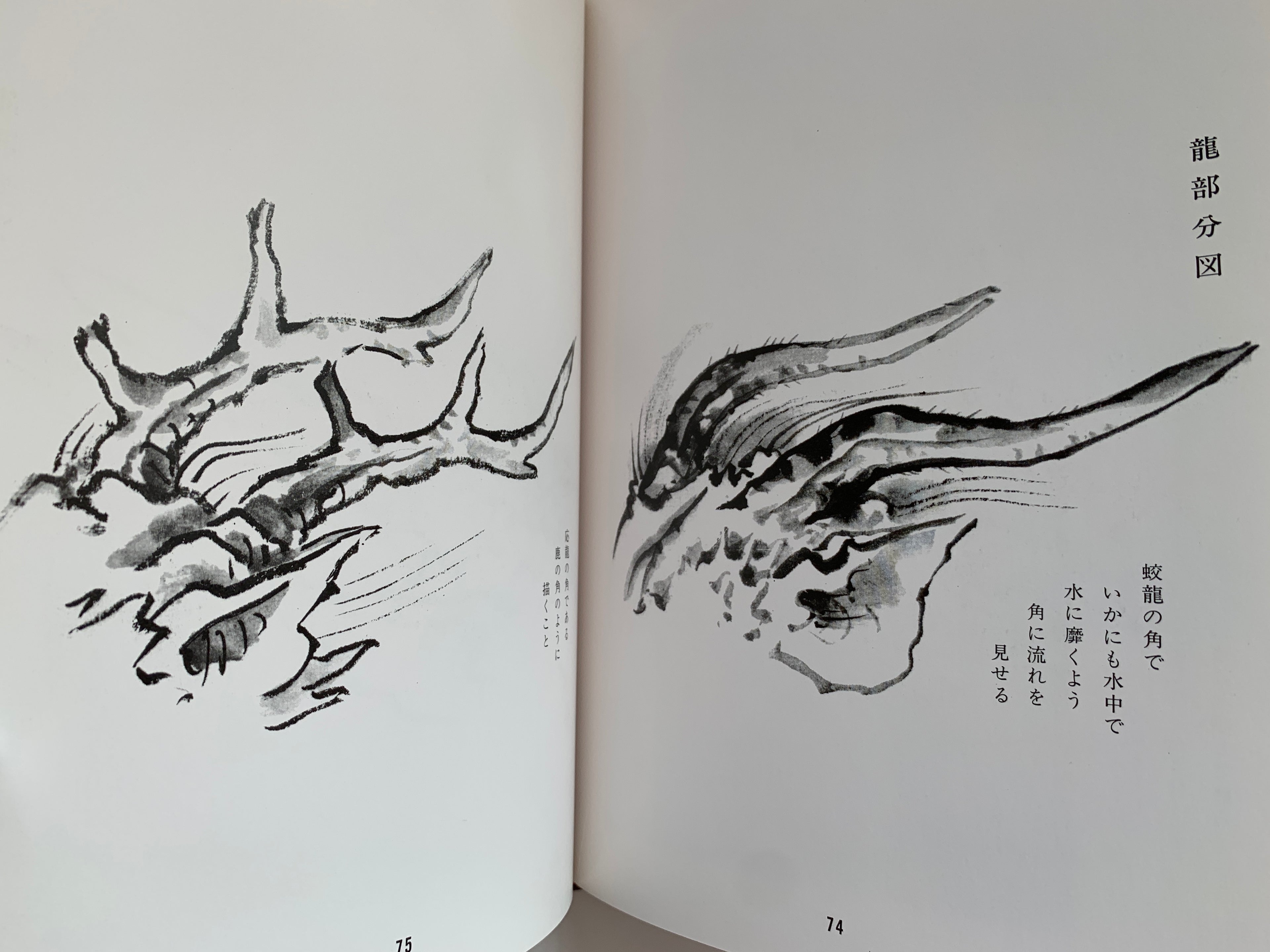 100 phases of Dragon