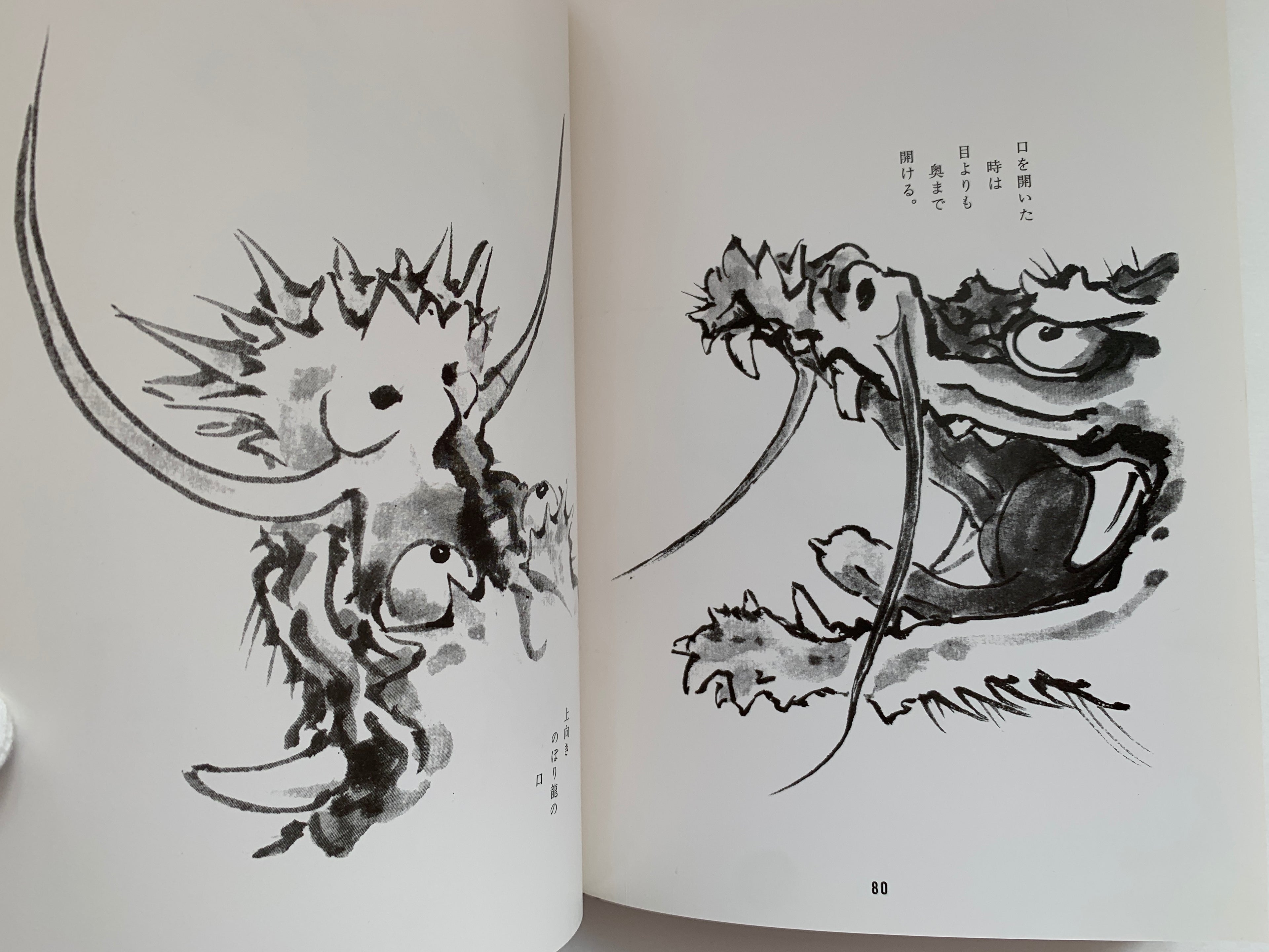 100 phases of Dragon