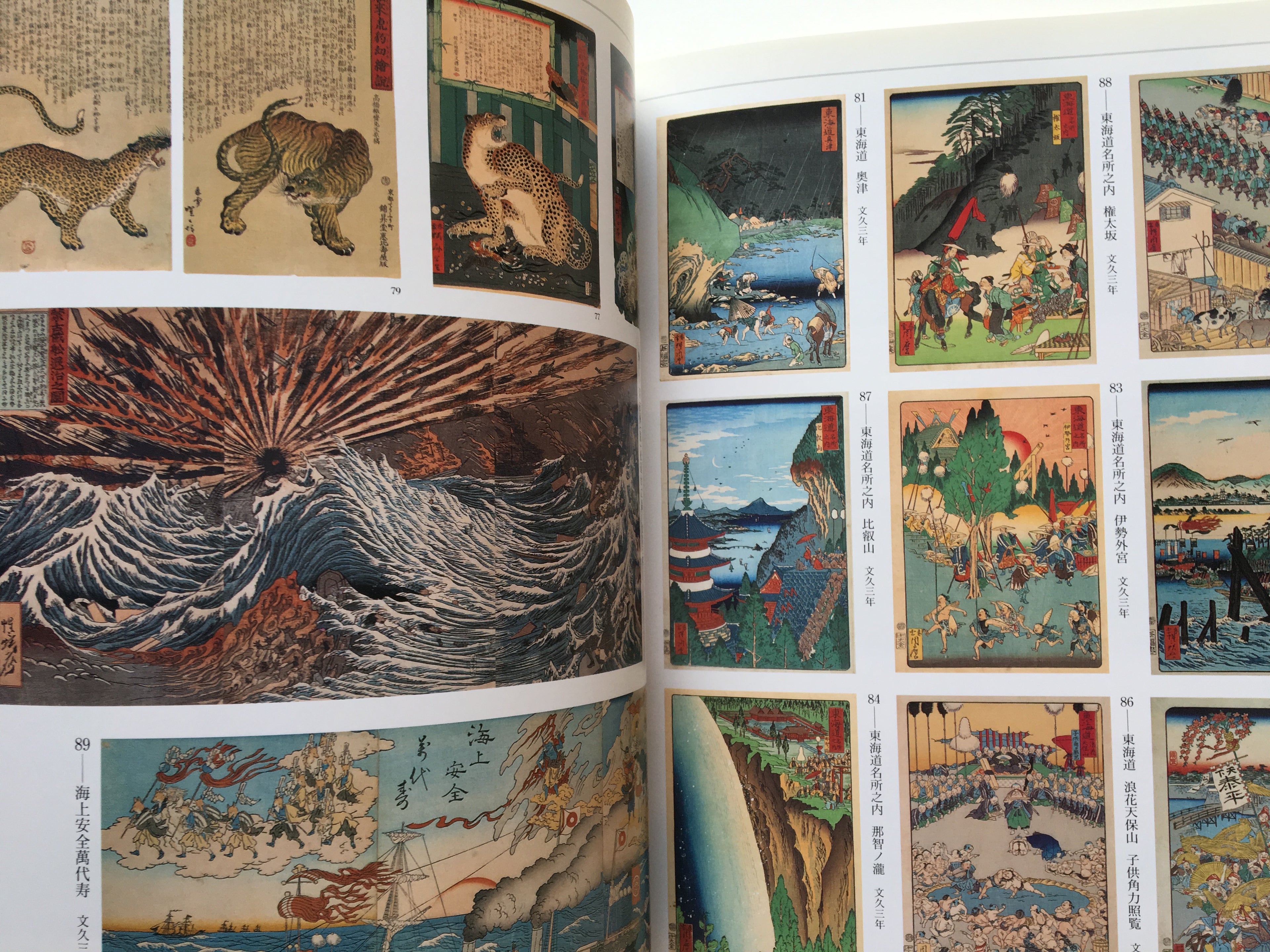 The Genius from the end of Edo-Meiji era / KYŌSAI