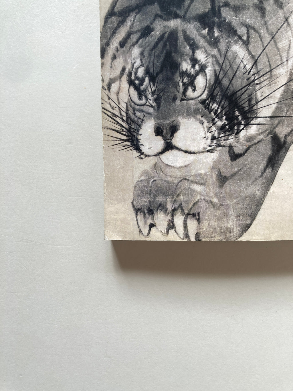 The Art of Tiger: Screen Paintings in Samurai Palace