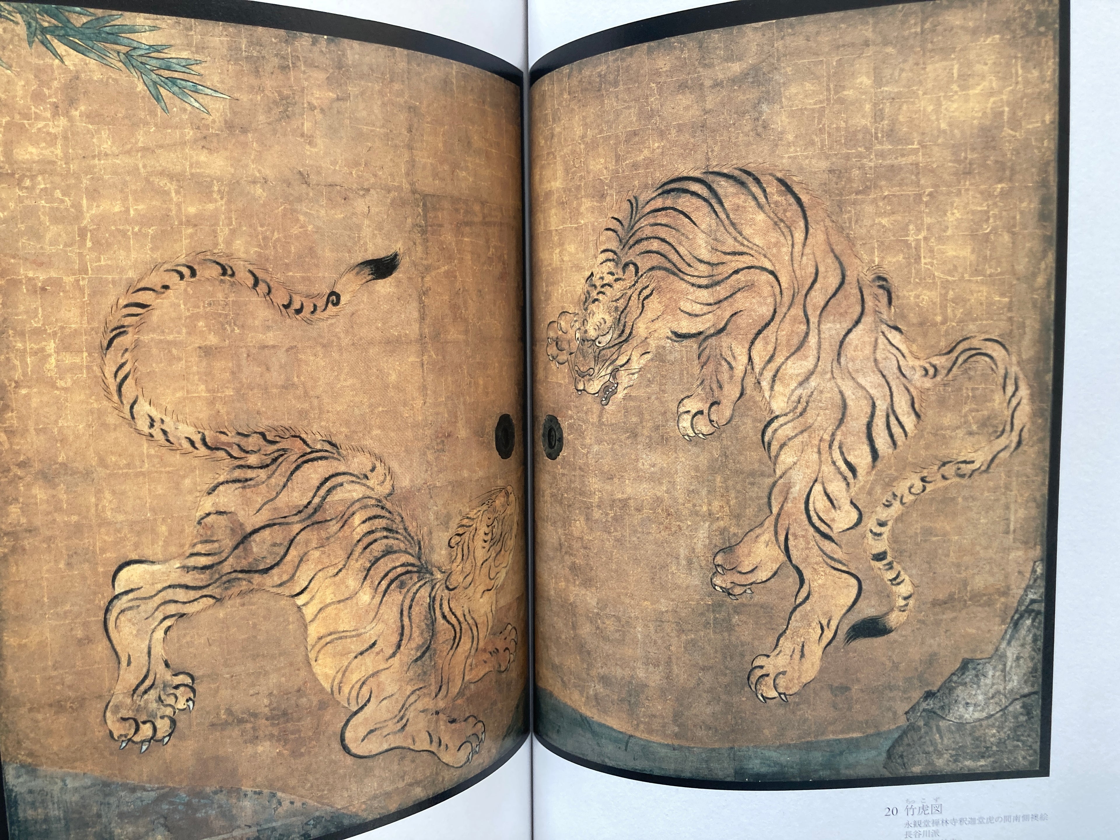 The Art of Tiger: Screen Paintings in Samurai Palace