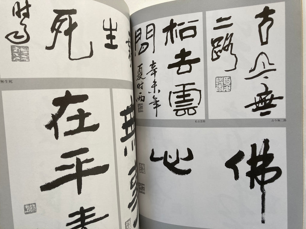 Daruma various phases Calligraphy Art book