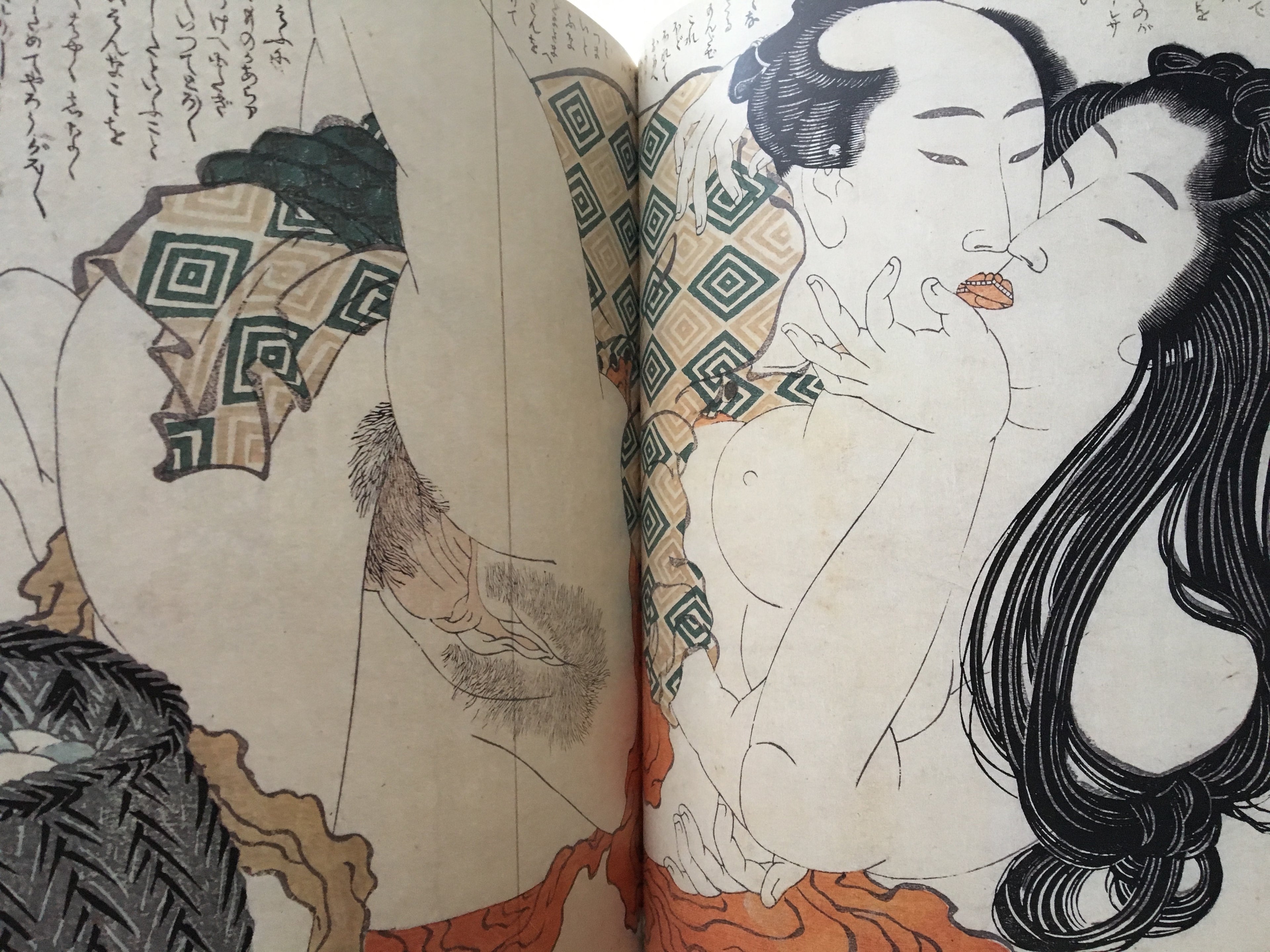 Shunga - 48 painters of Edo