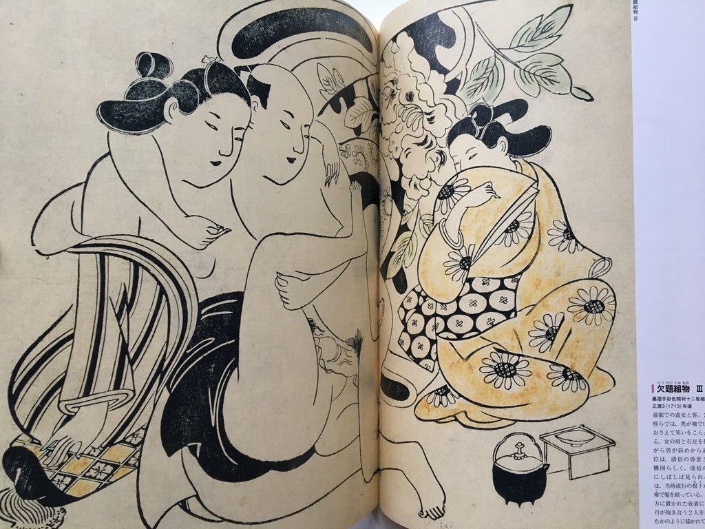 Shunga - 48 painters of Edo