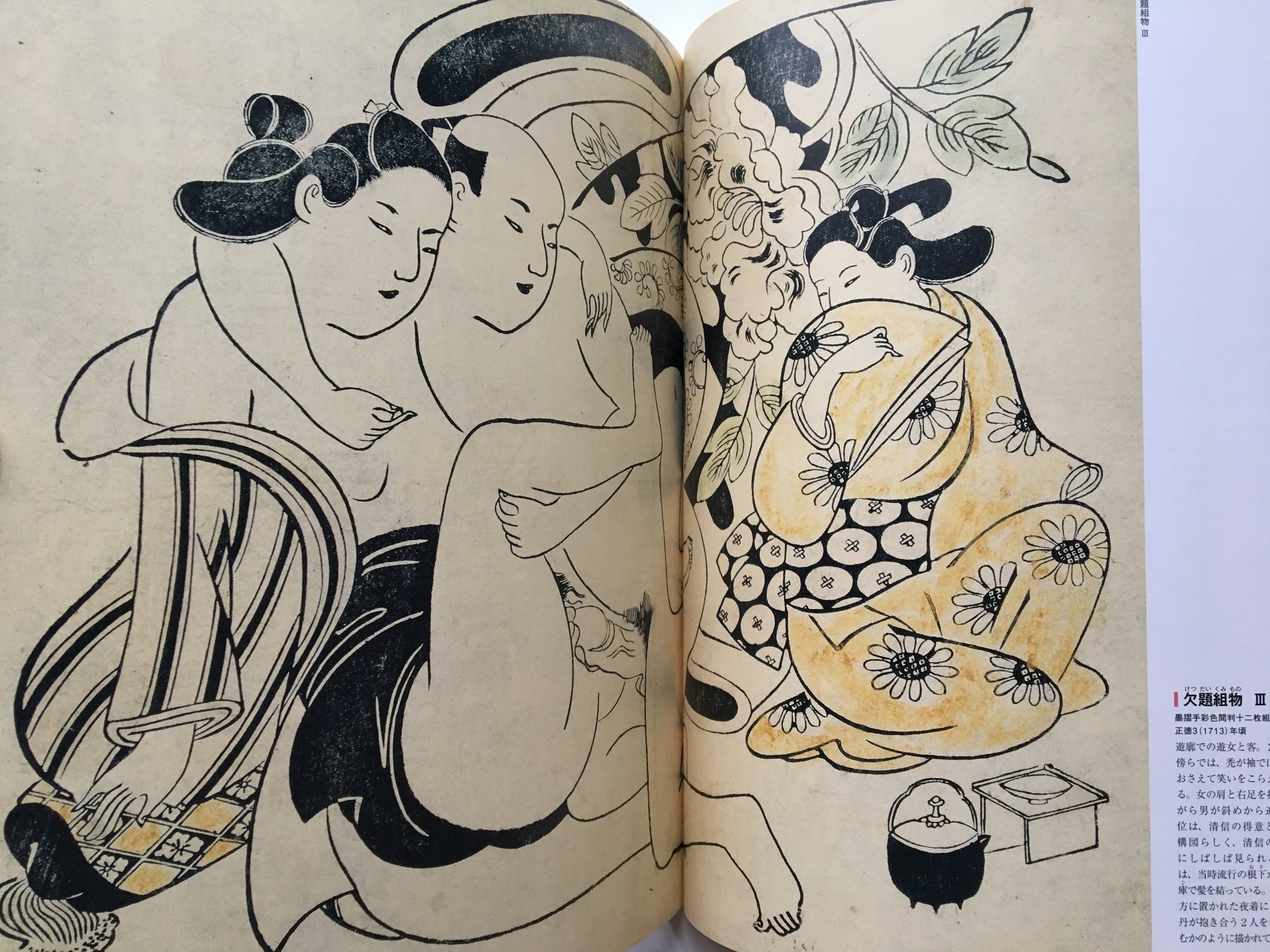 Shunga - 48 painters of Edo