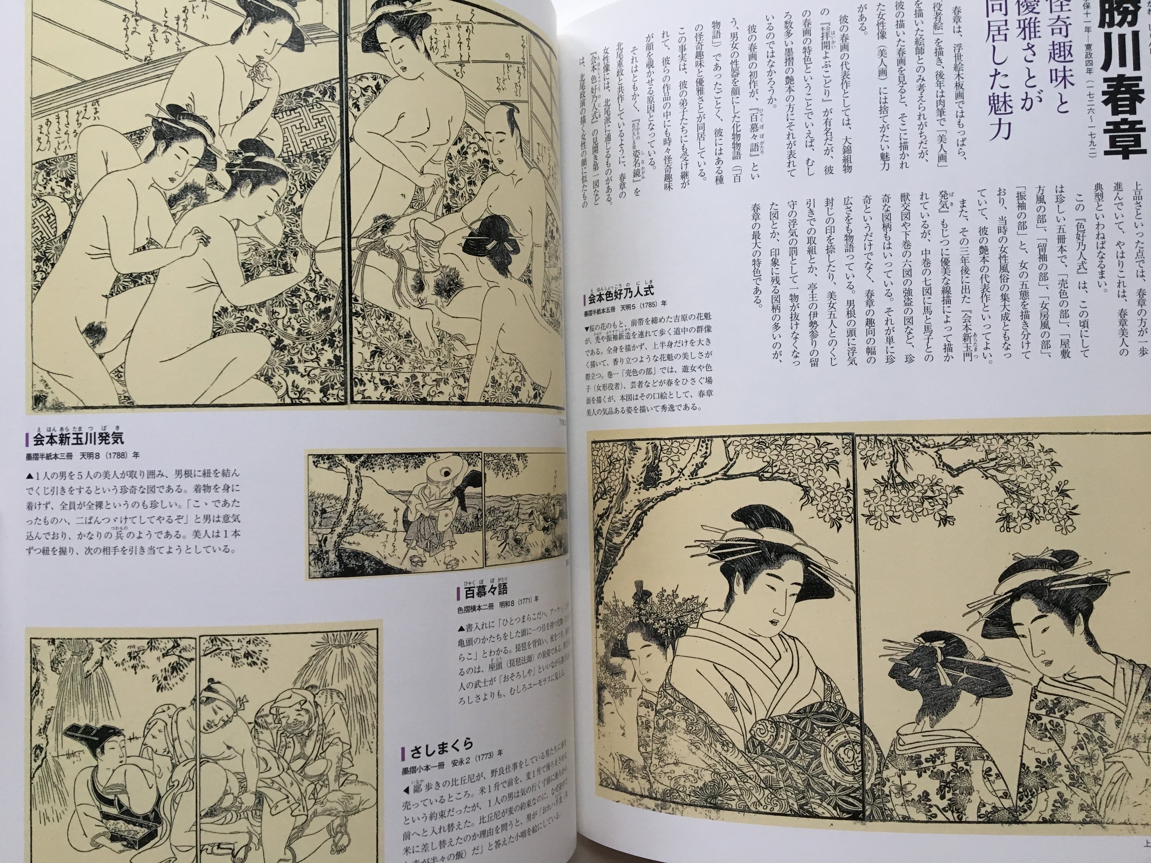 Shunga - 48 painters of Edo